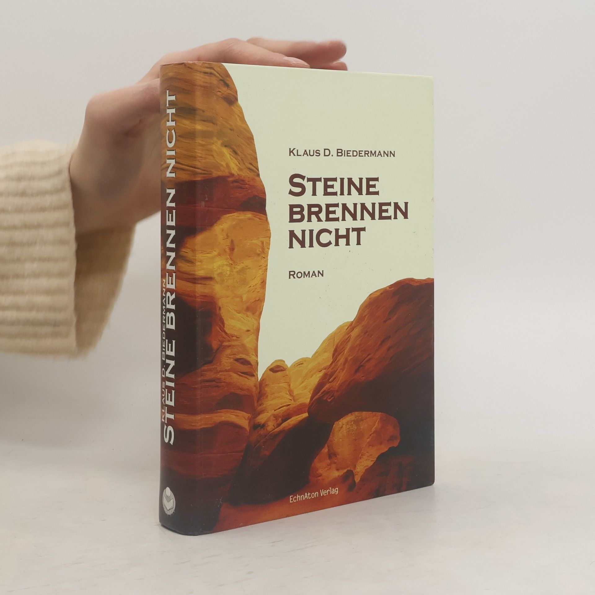 Klaus Biedermann Steine brennen nicht