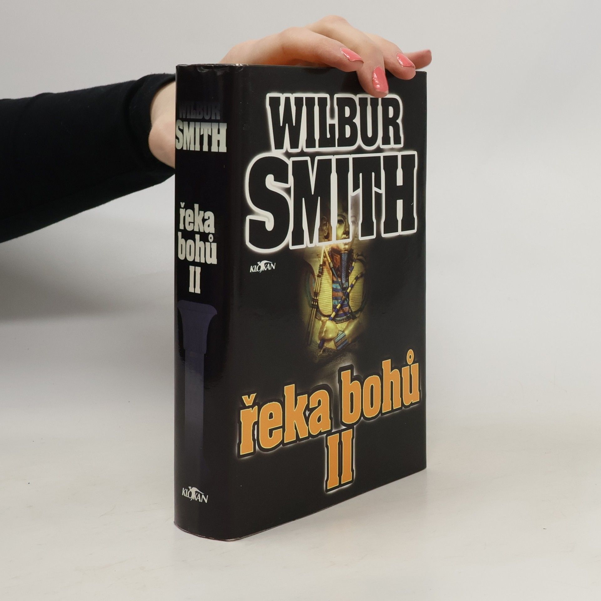 Wilbur Smith Řeka bohů II
