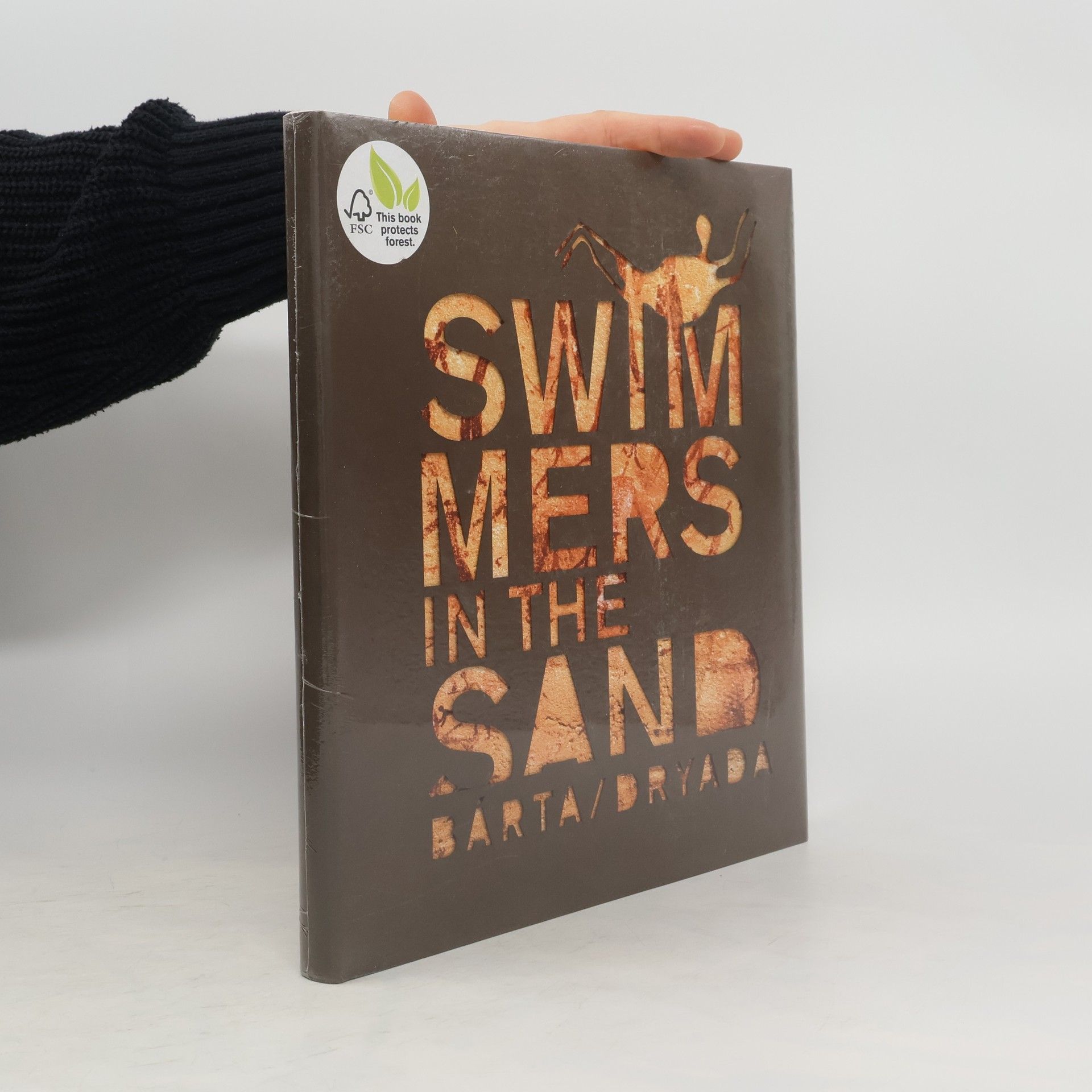 Miroslav Bárta Swimmers in the sand