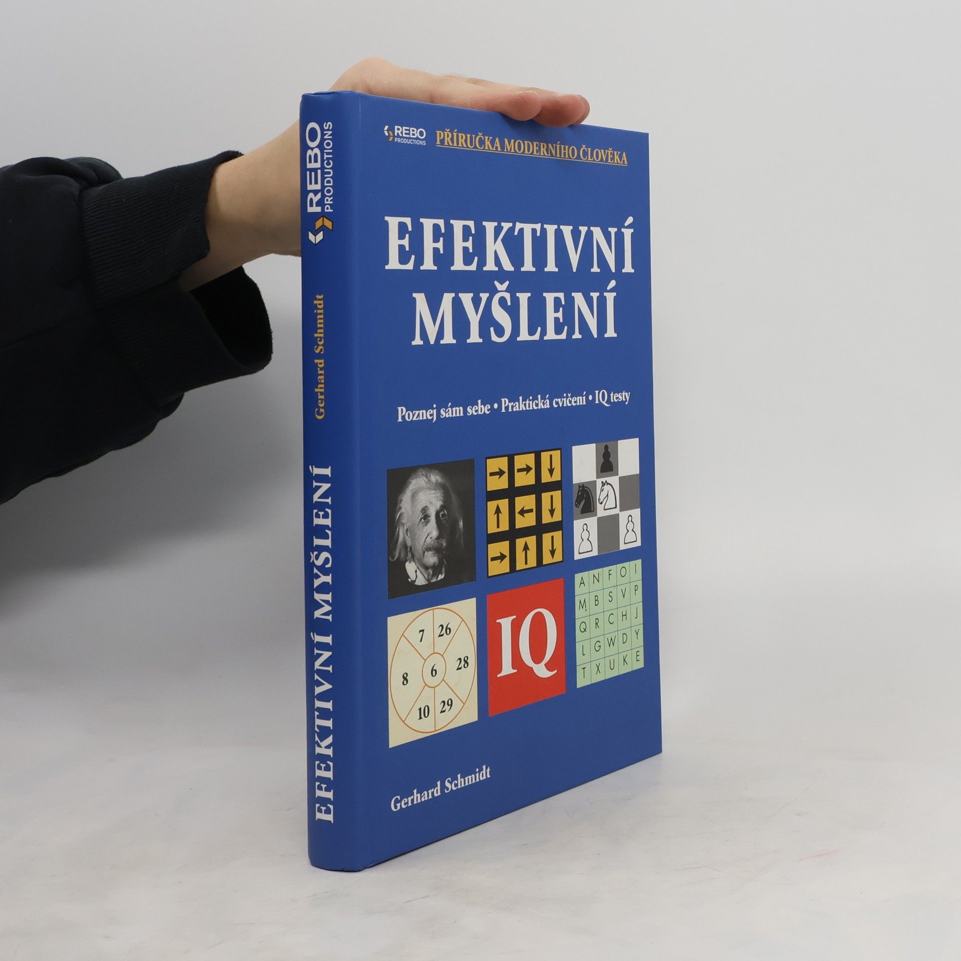 Hans-Gerhard Schmidt Efektivní myšlení