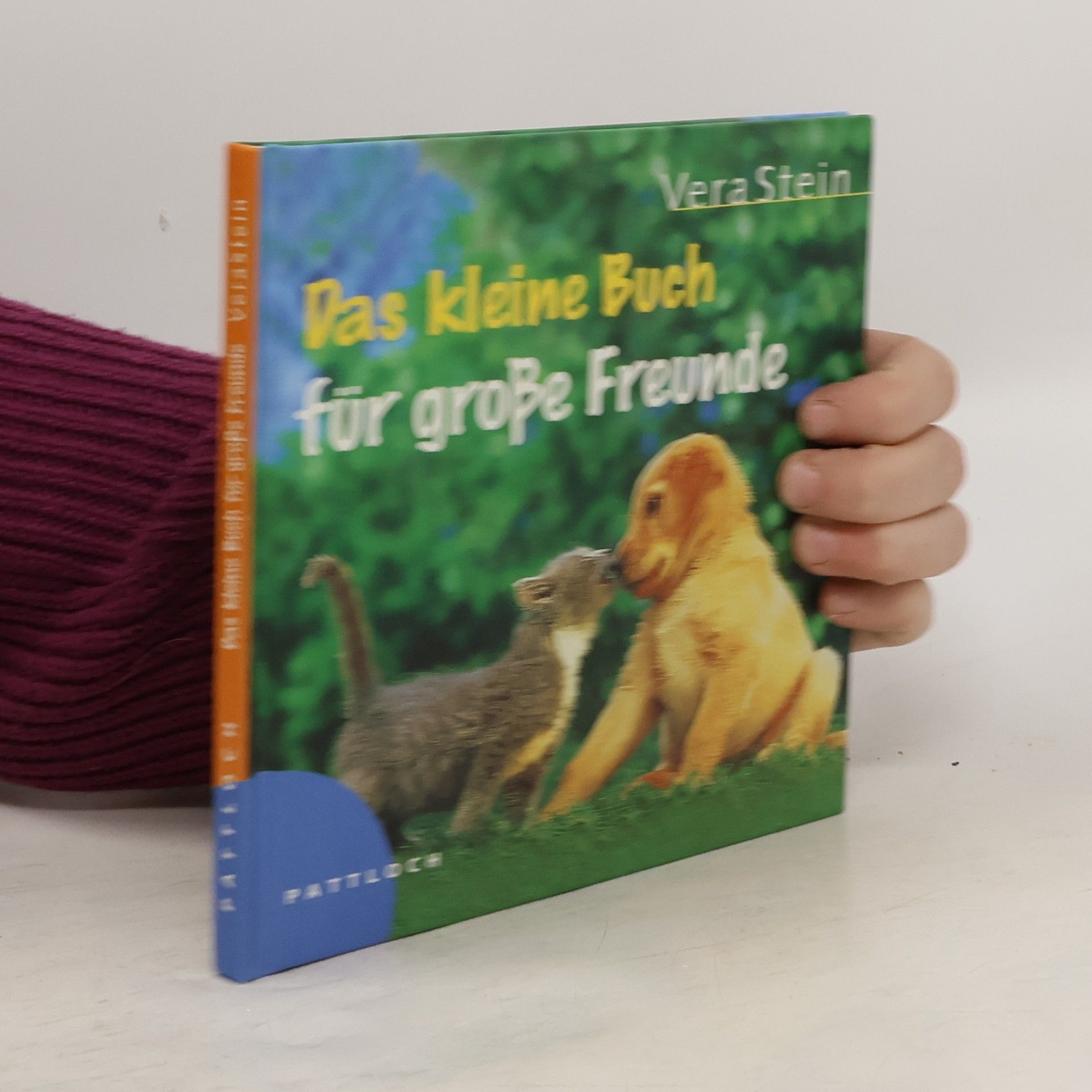 Vera Stein Das kleine Buch für große Freunde