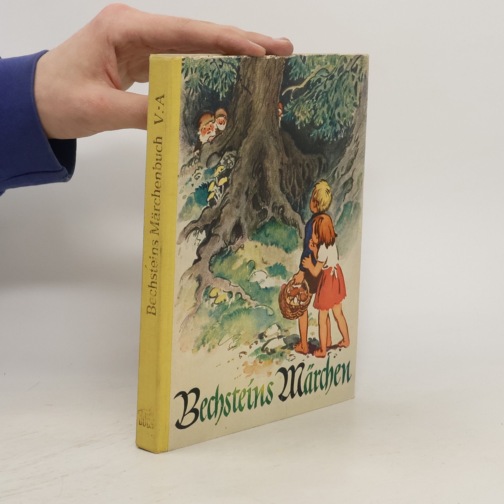 Kolektiv autorů Bechsteins Märchenbuch