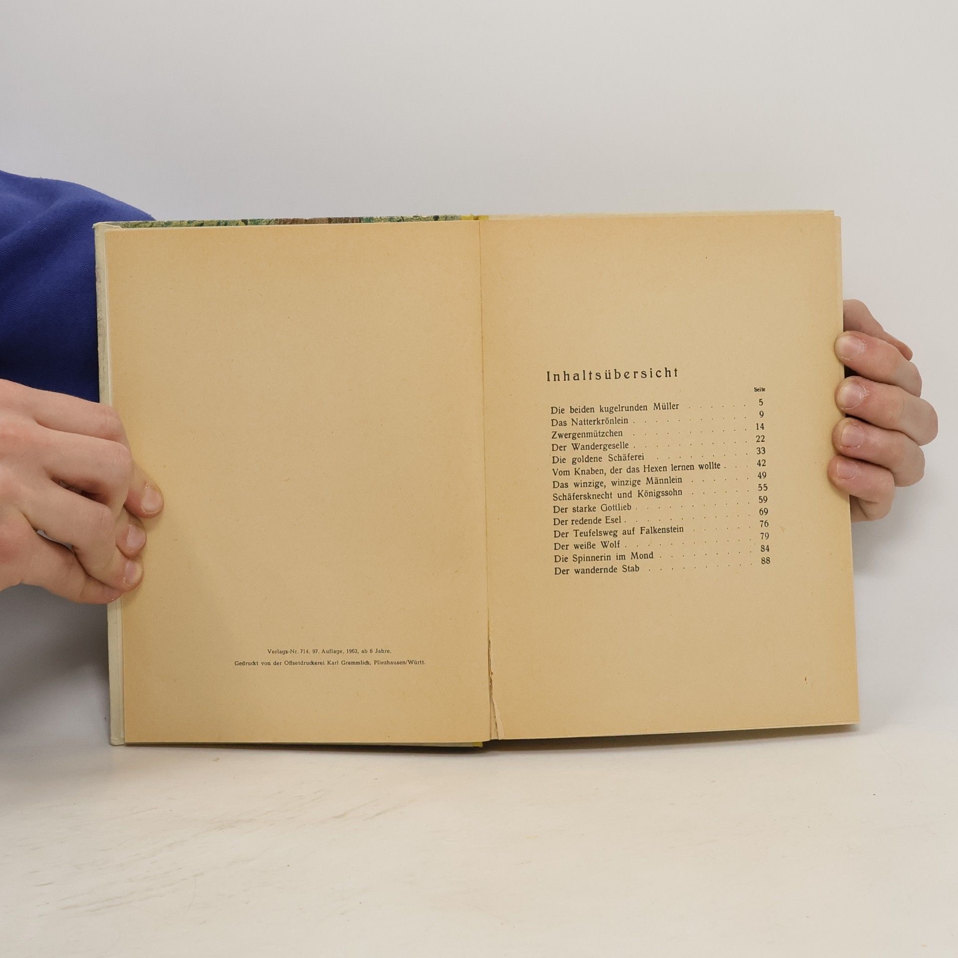 Kolektiv autorů Bechsteins Märchenbuch