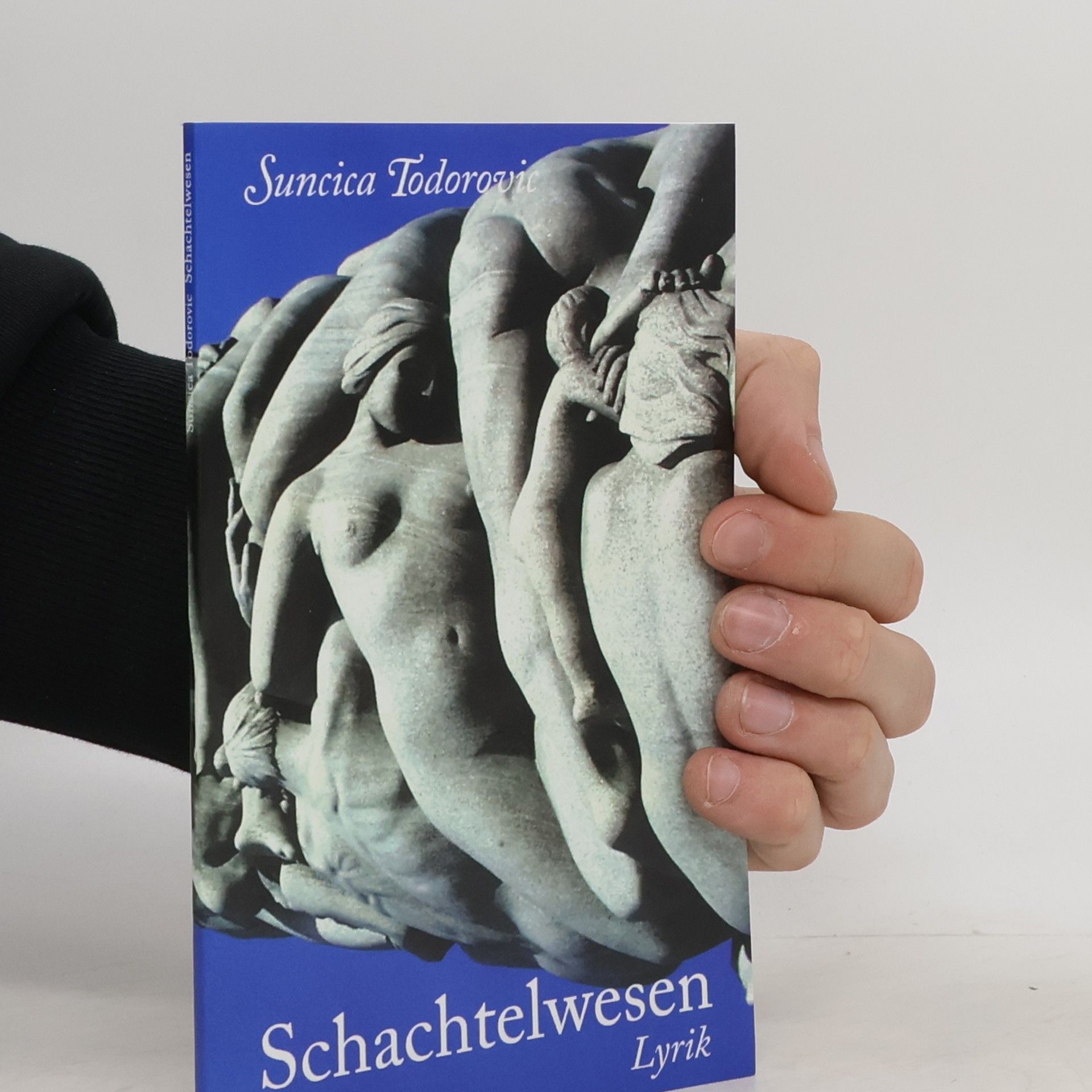 Suncica Todorovic Schachtelwesen