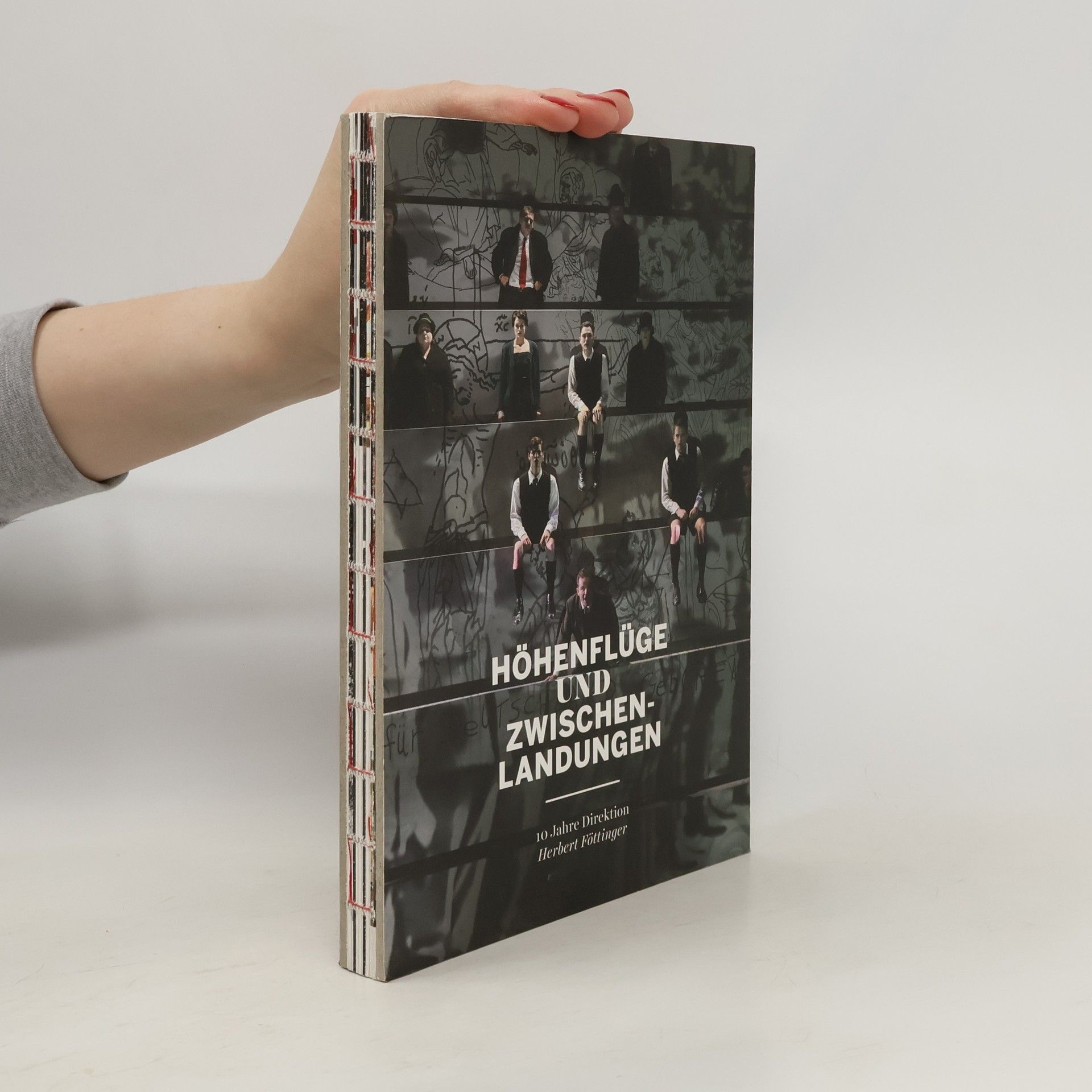Autorenkollektiv Höhenflüge und Zwischenlandungen