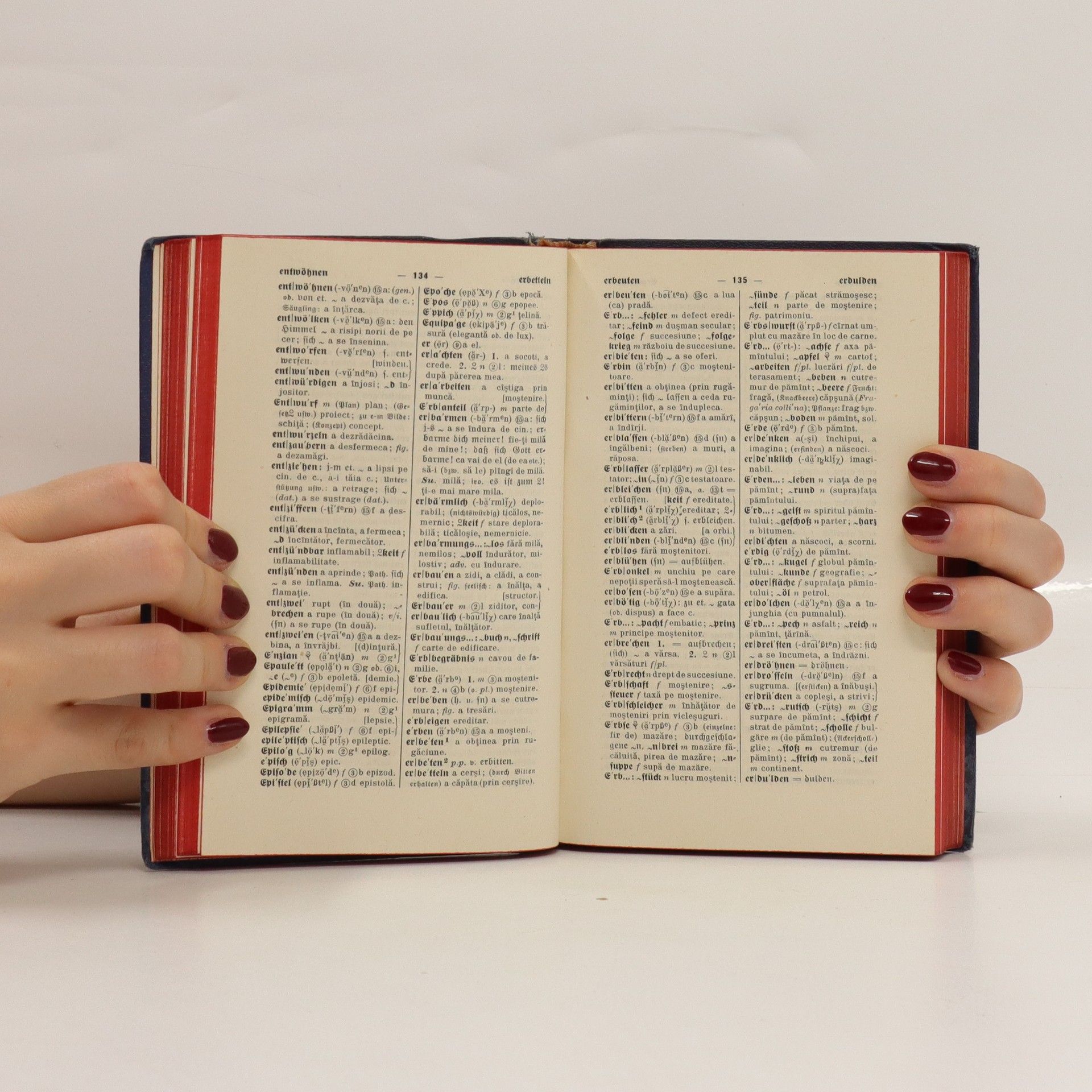 Kolektív autorov Langenscheidts Taschenwörterbücher I.