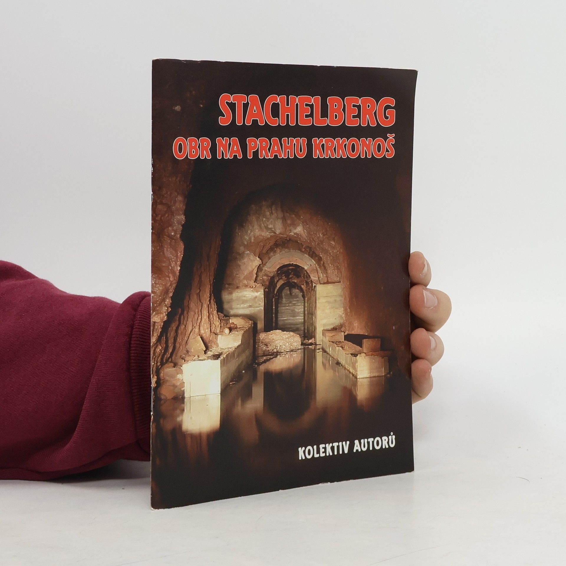 Kolektiv autorů Stachelberg. Obr na prahu Krkonoš