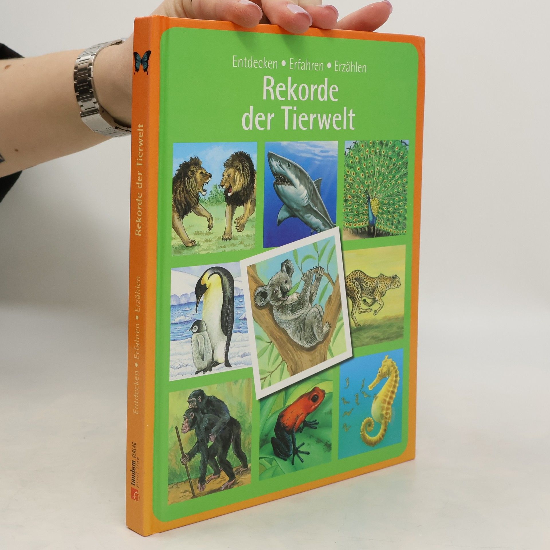 Autores varios Rekorde der Tierwelt