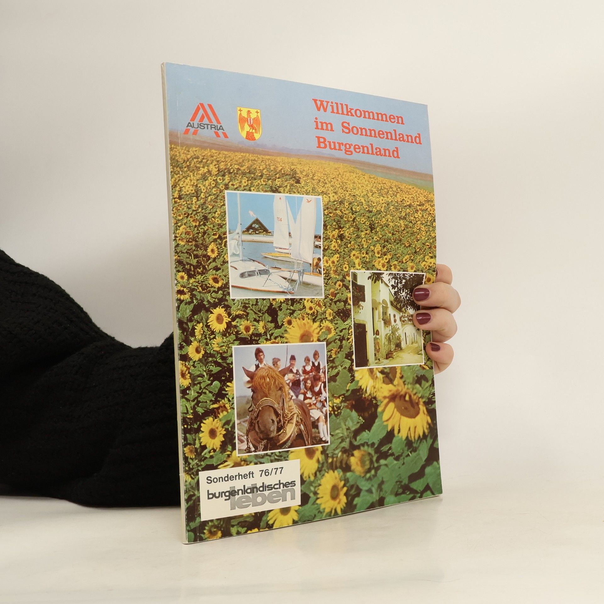 Autorenkollektiv Willkommen im Sonnenland Burgenland