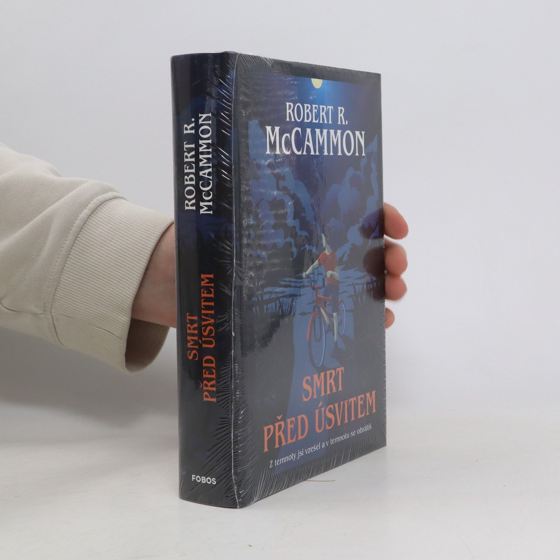 Robert McCammon Smrt před úsvitem