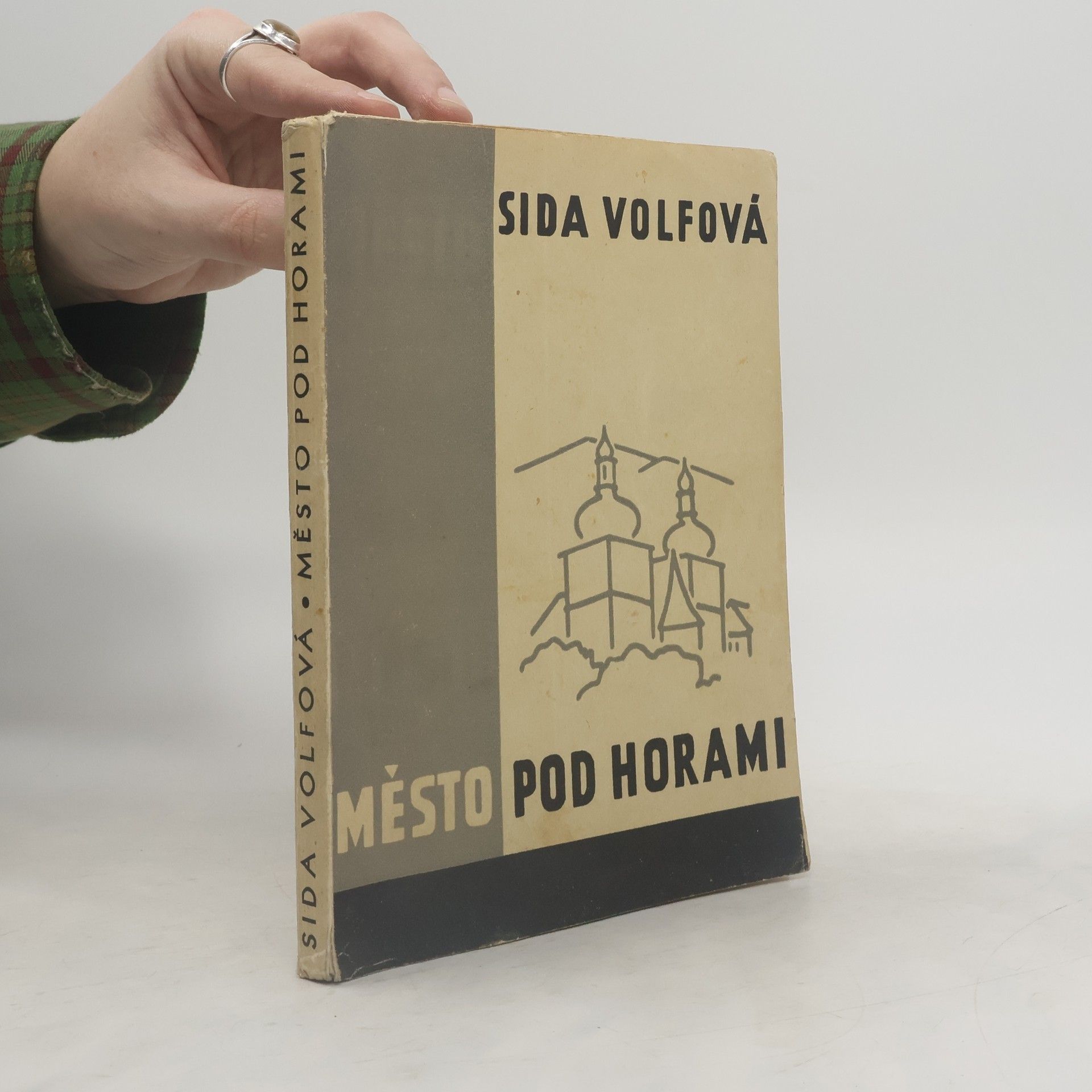 Sida Volfová Město pod horami