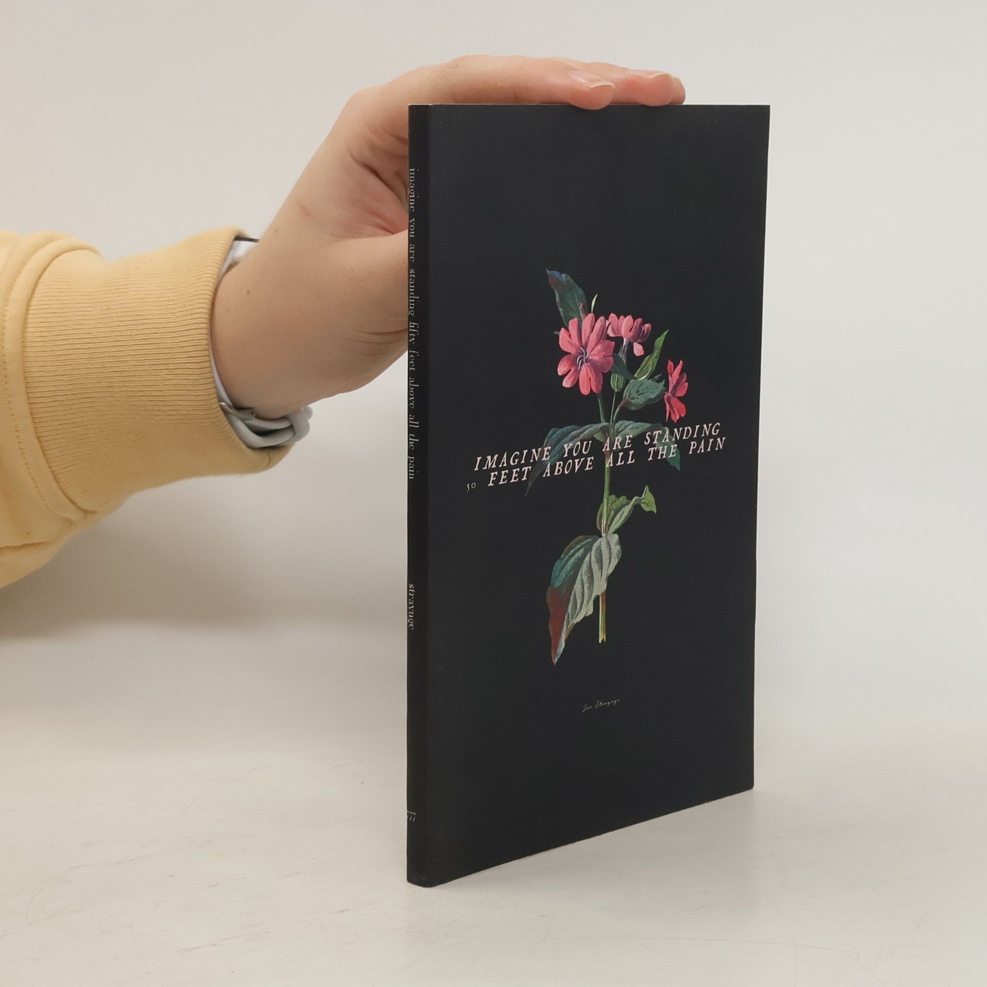 Joe Straynge Imagine You Are Standing Fifty Feet Above All the Pain