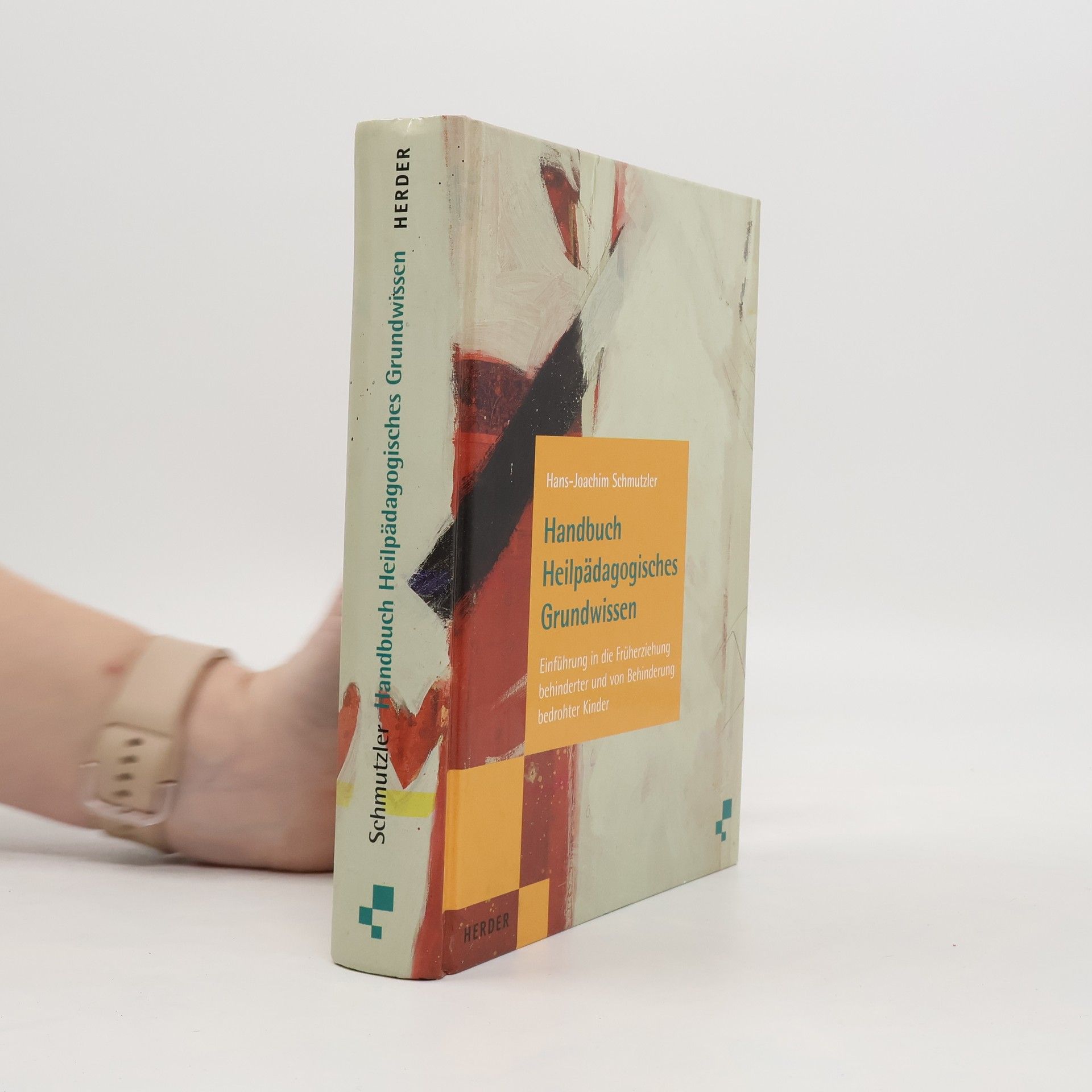 Hans Joachim Schmutzler Handbuch heilpädagogisches Grundwissen