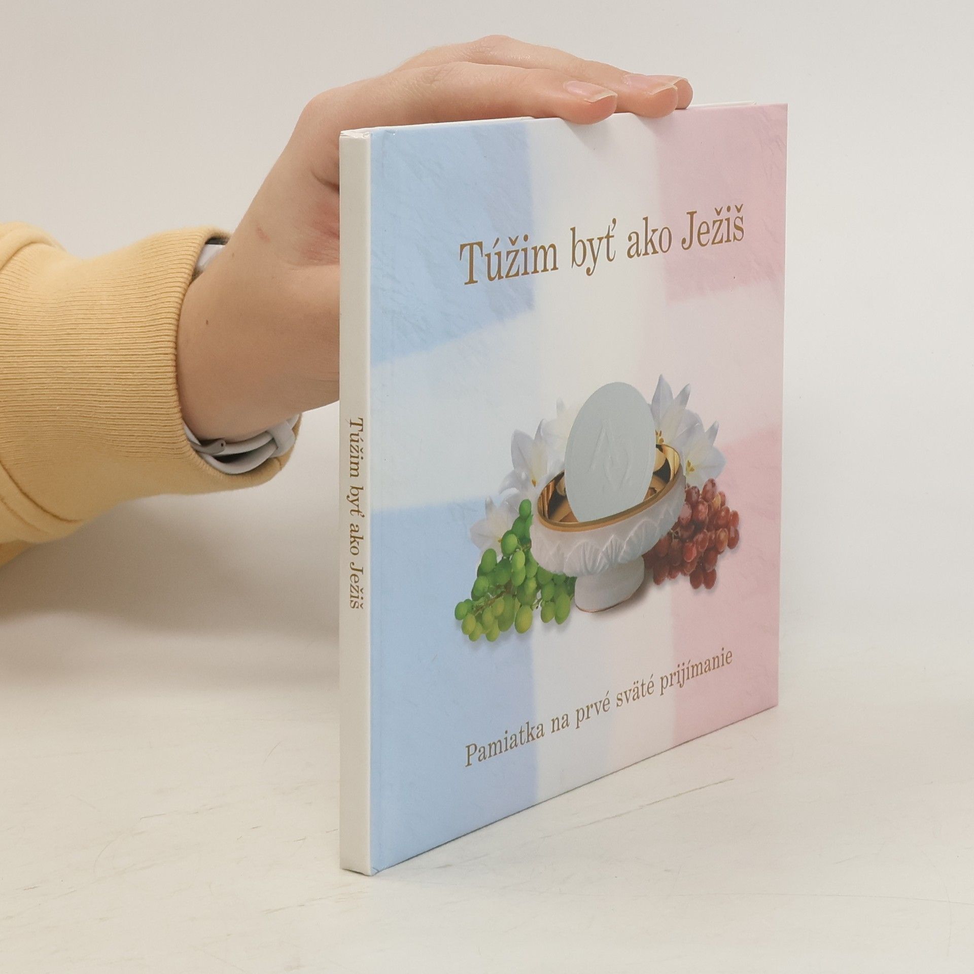 Collectif d'auteurs Túžim byť ako Ježiš