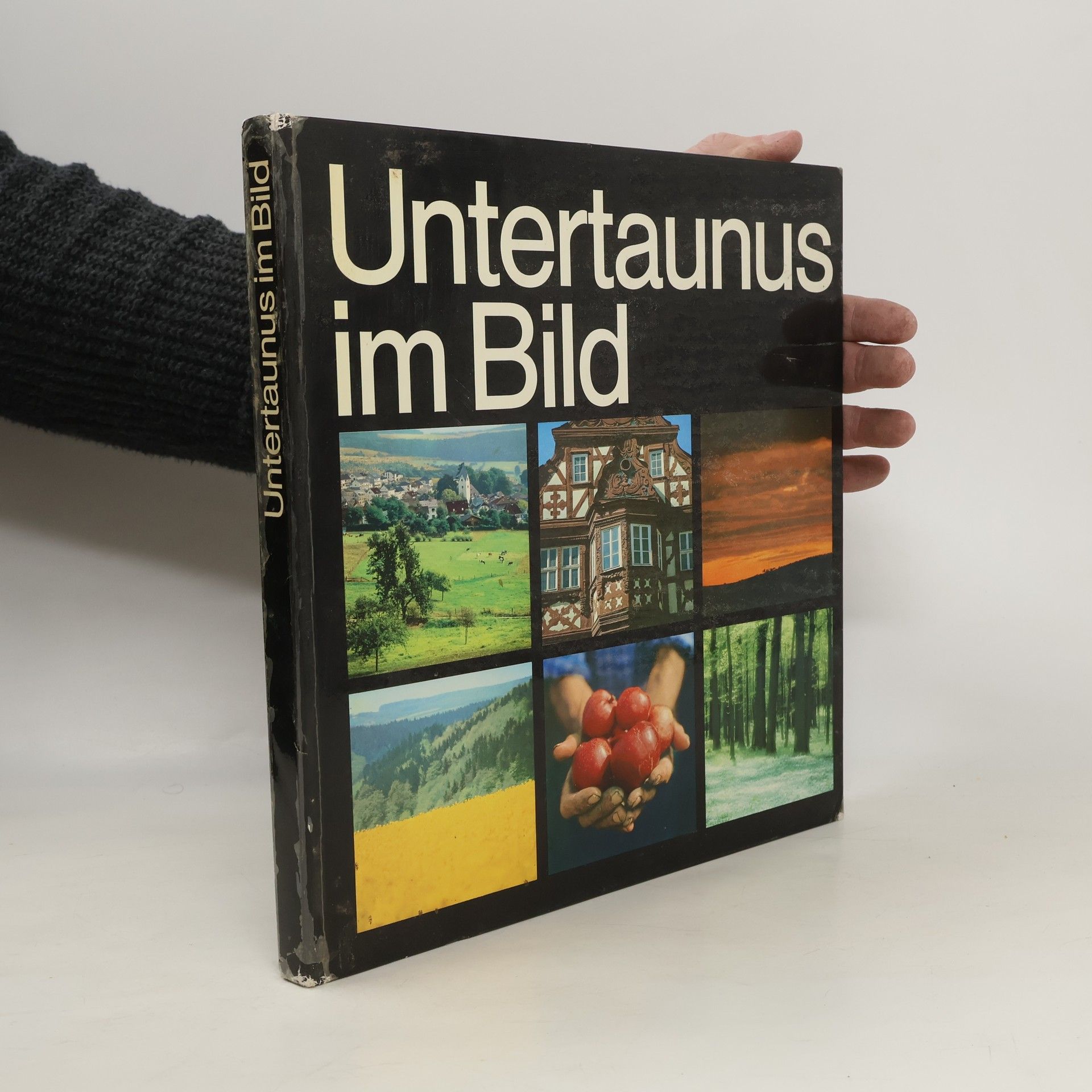 Collectif d'auteurs Untertaunus im Bild