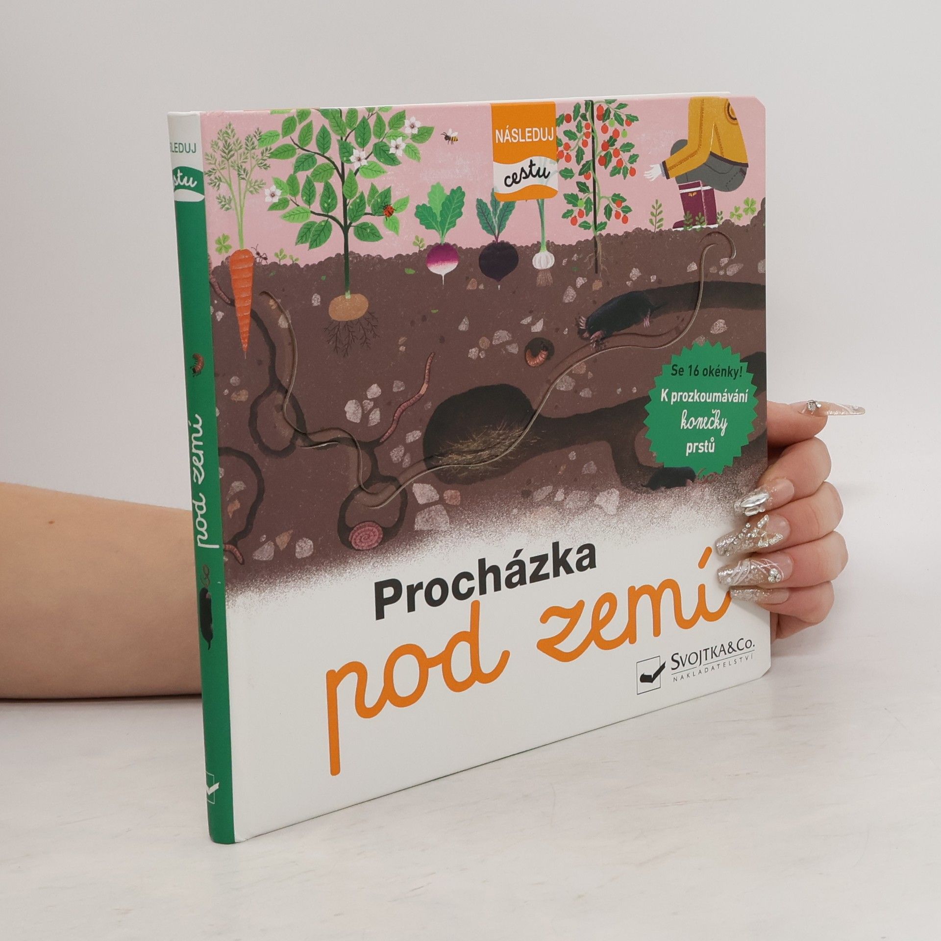 Kolektiv autorů Procházka pod zemí - Následuj cestu
