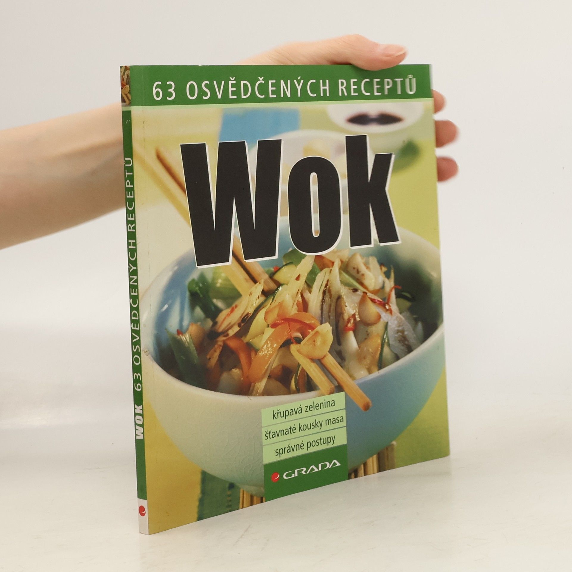 Autorenkollektiv Wok - 63 osvědčených receptů