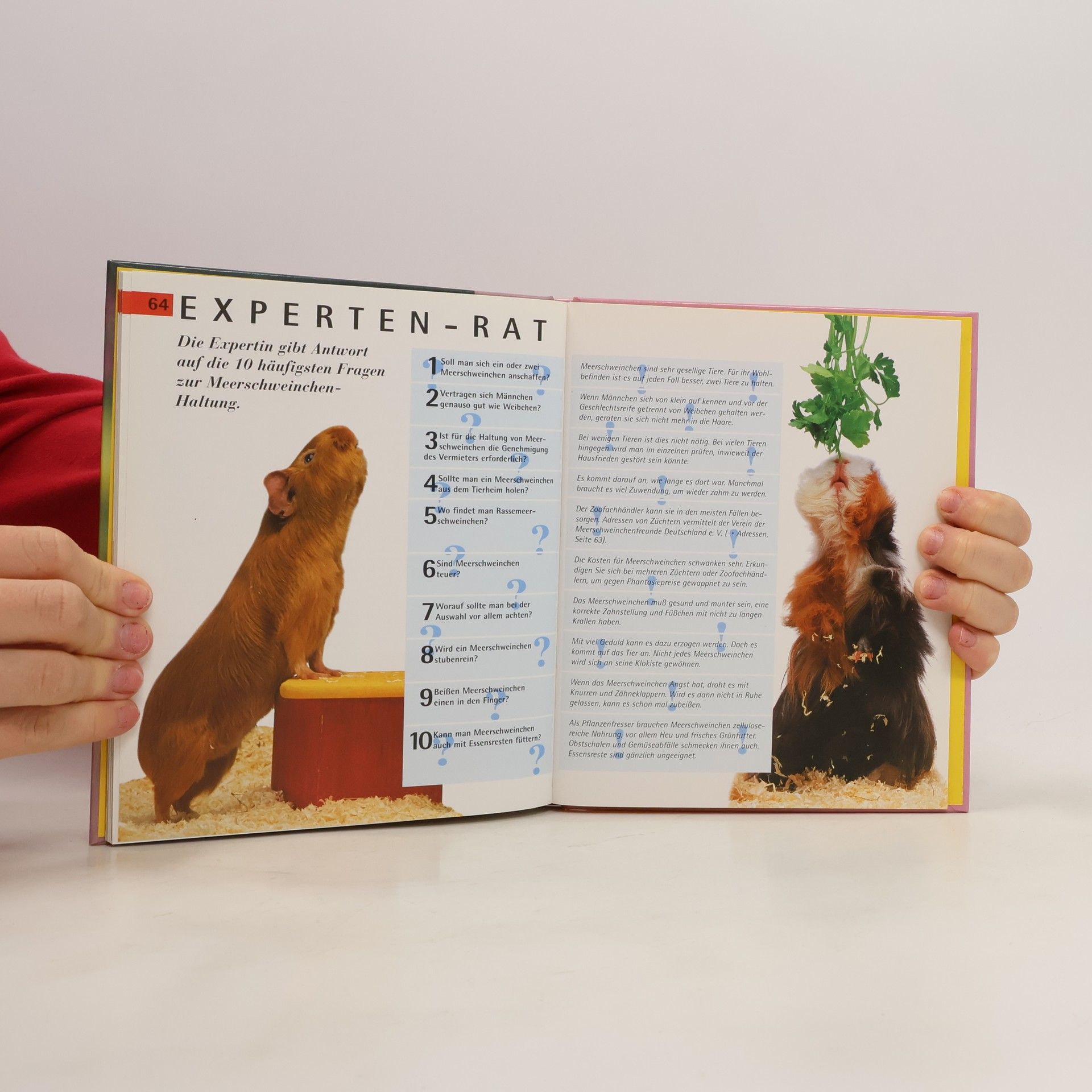 Autorenkollektiv Meerschweinchen
