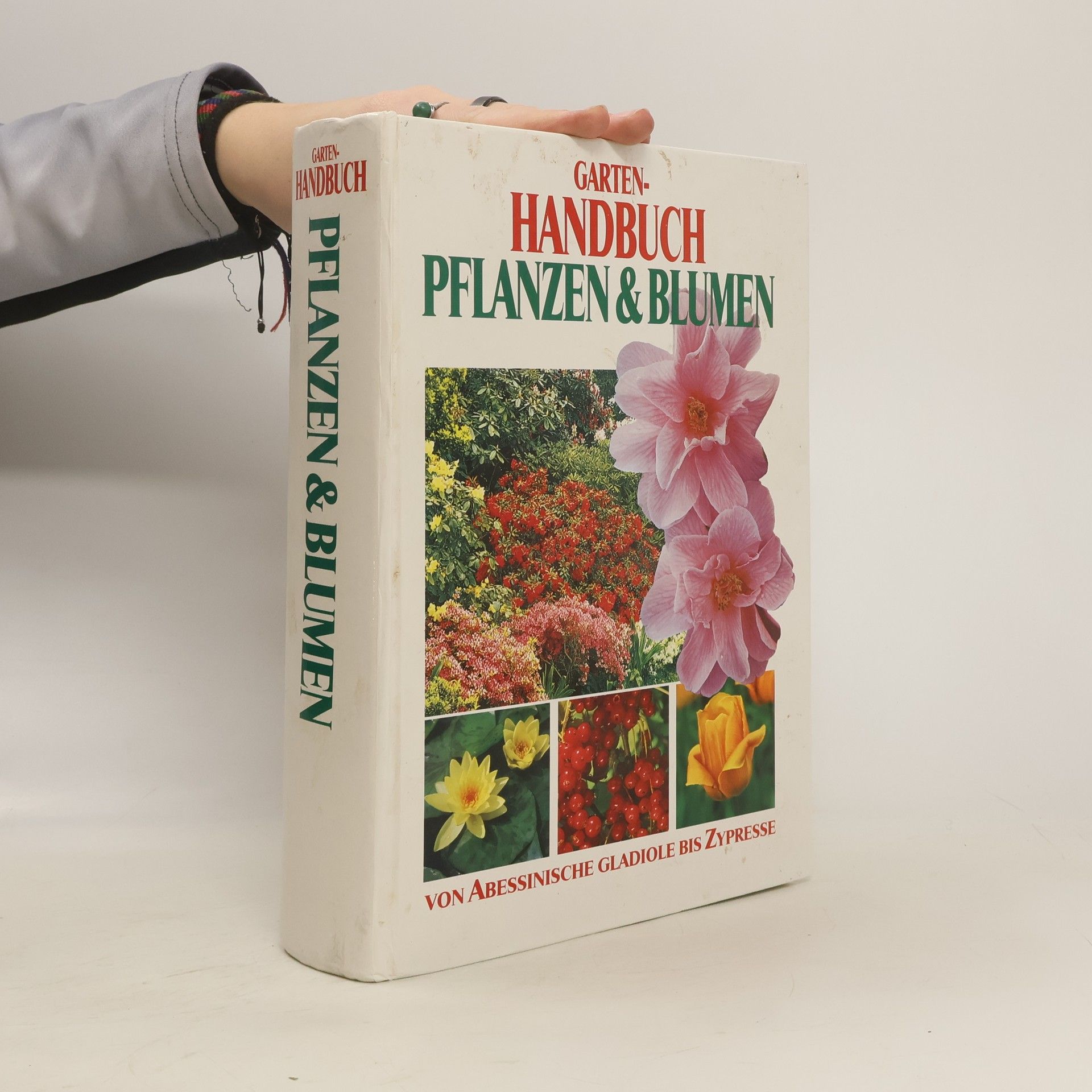 Autorenkollektiv Garten-Handbuch Pflanzen & Blumen
