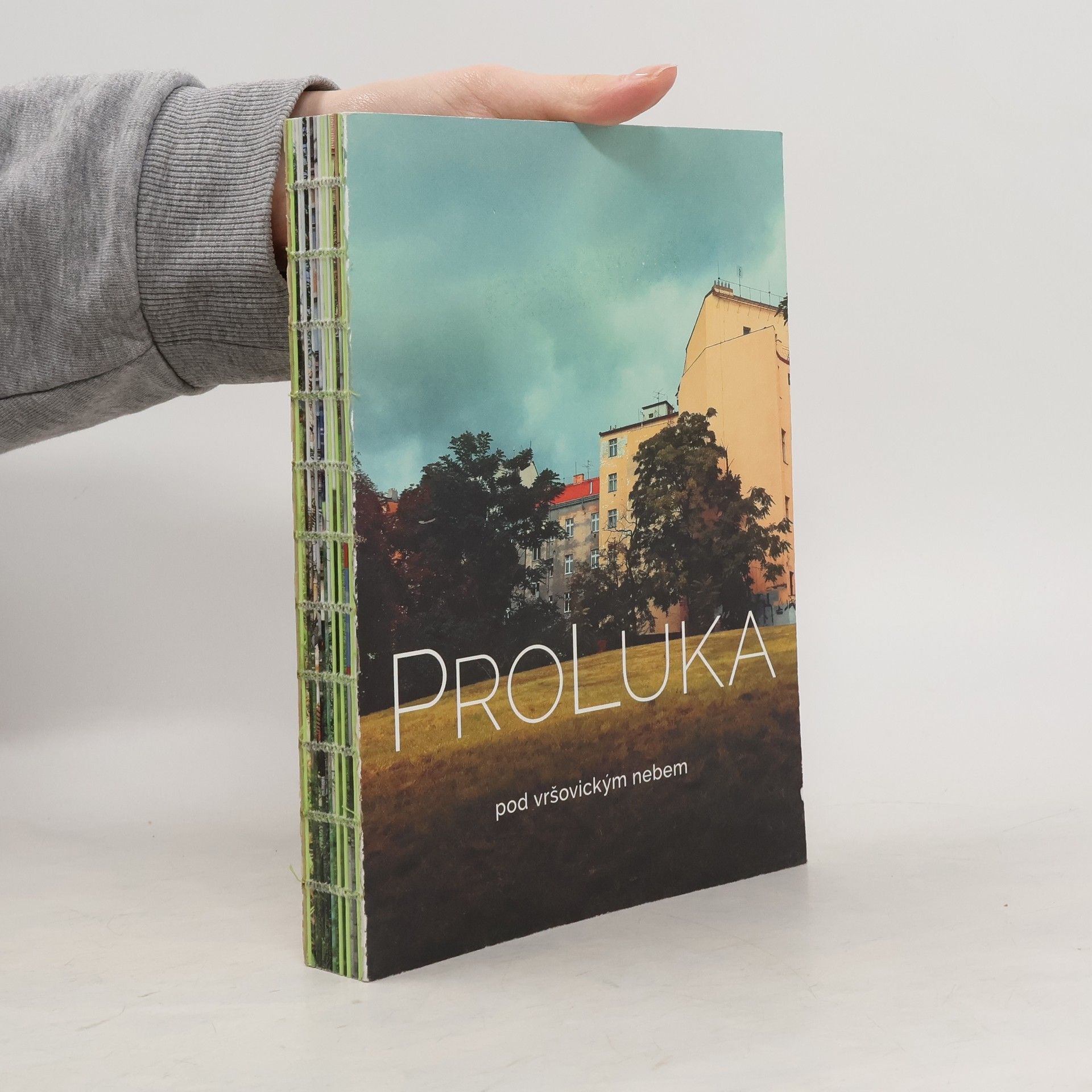 Denisa Václavová ProLuka - pod vršovickým nebem
