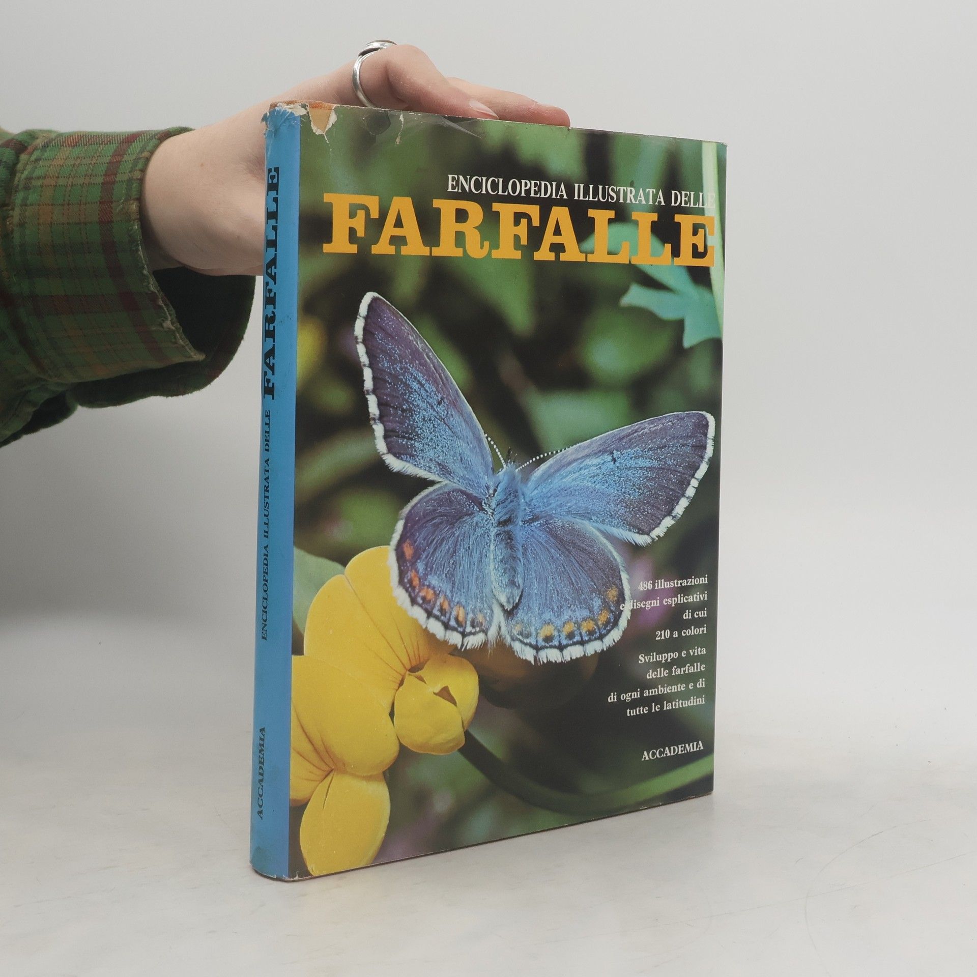 Autorenkollektiv Enciclopedia illustrata delle Farfalle