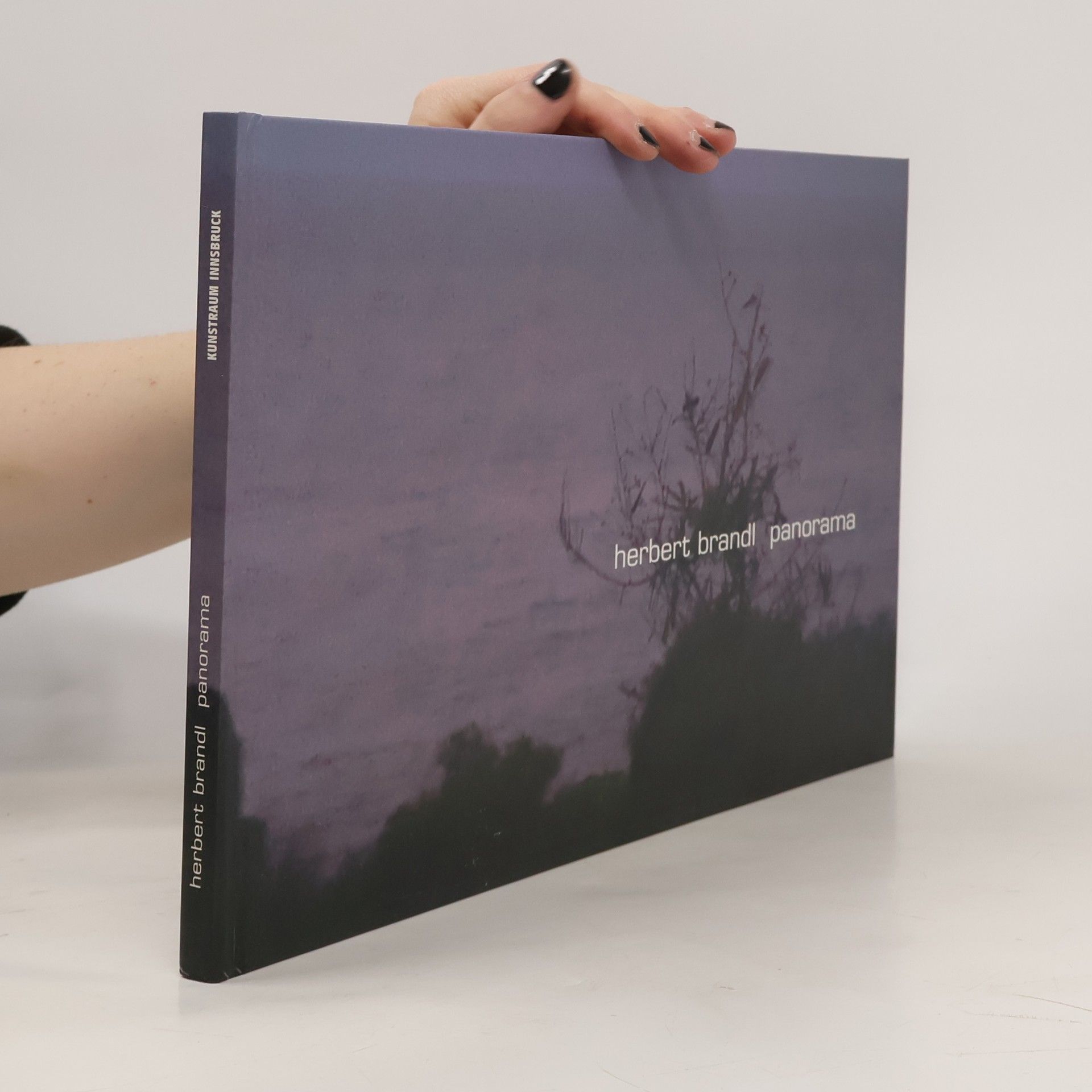 Elisabeth Thoman Oberhofer Herbert Brandl, Panorama