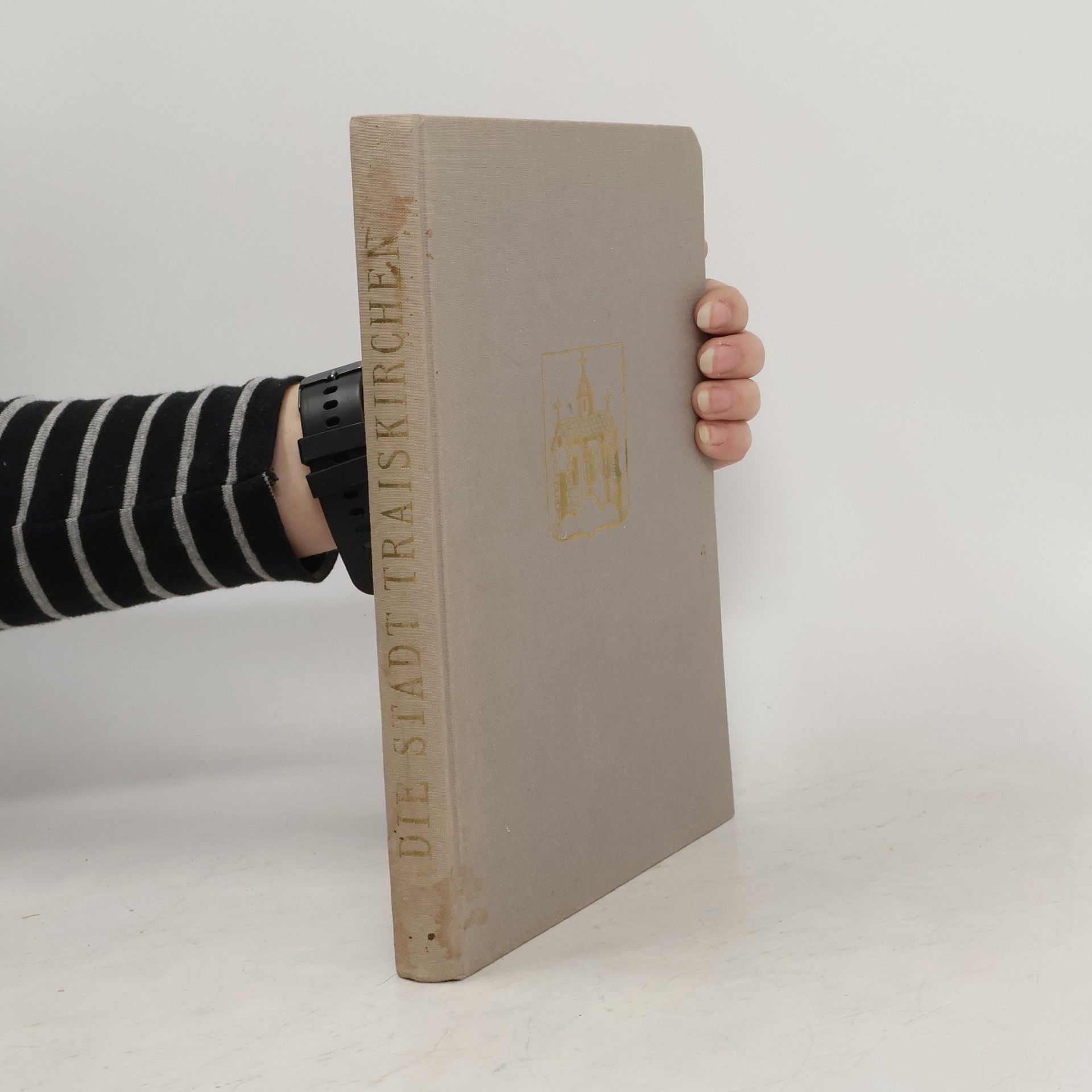 Friedrich Hink Die Stadt Traiskirchen