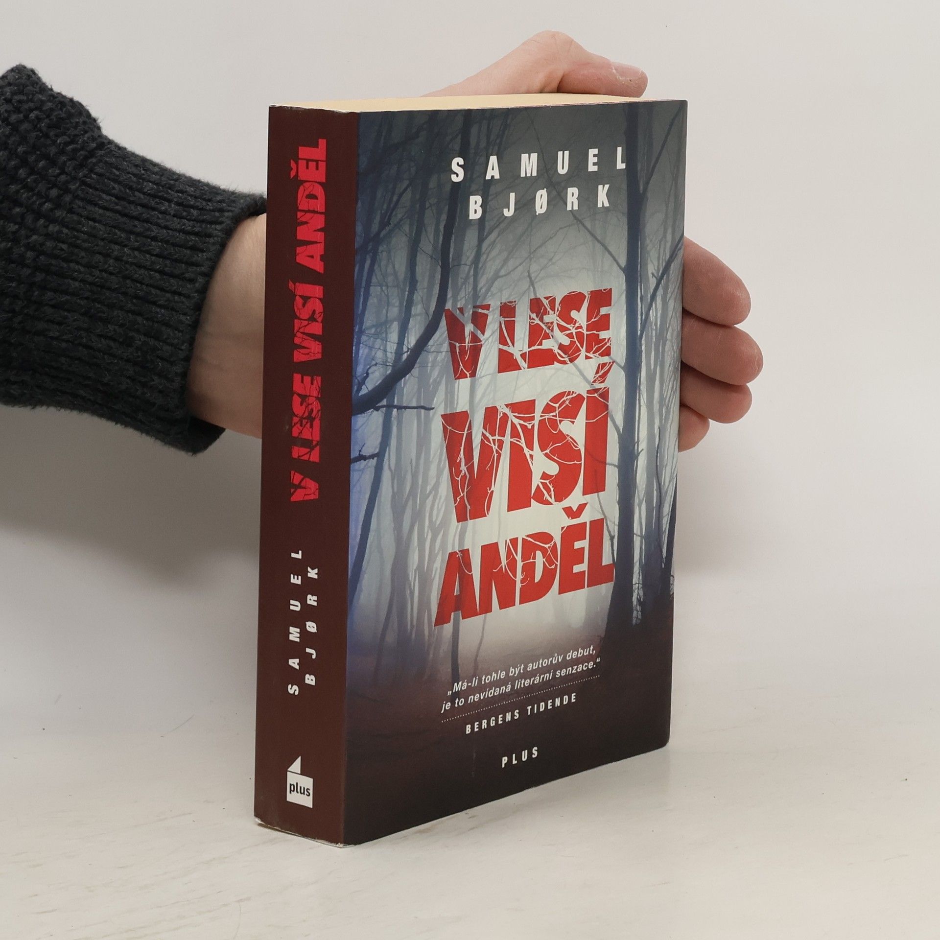 Samuel Bjork V lese visí anděl