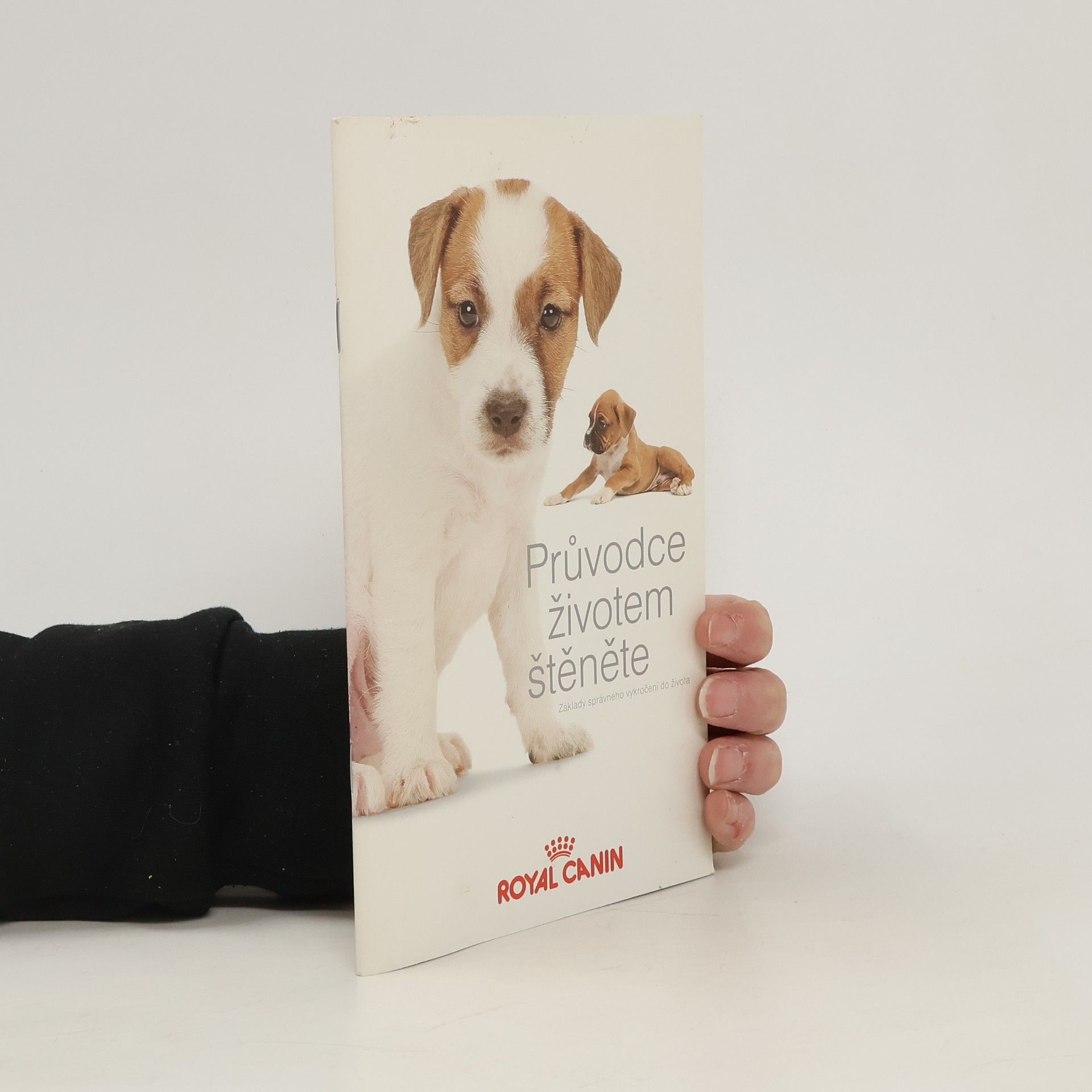 Auteurscollectief Průvodce životem štěněte