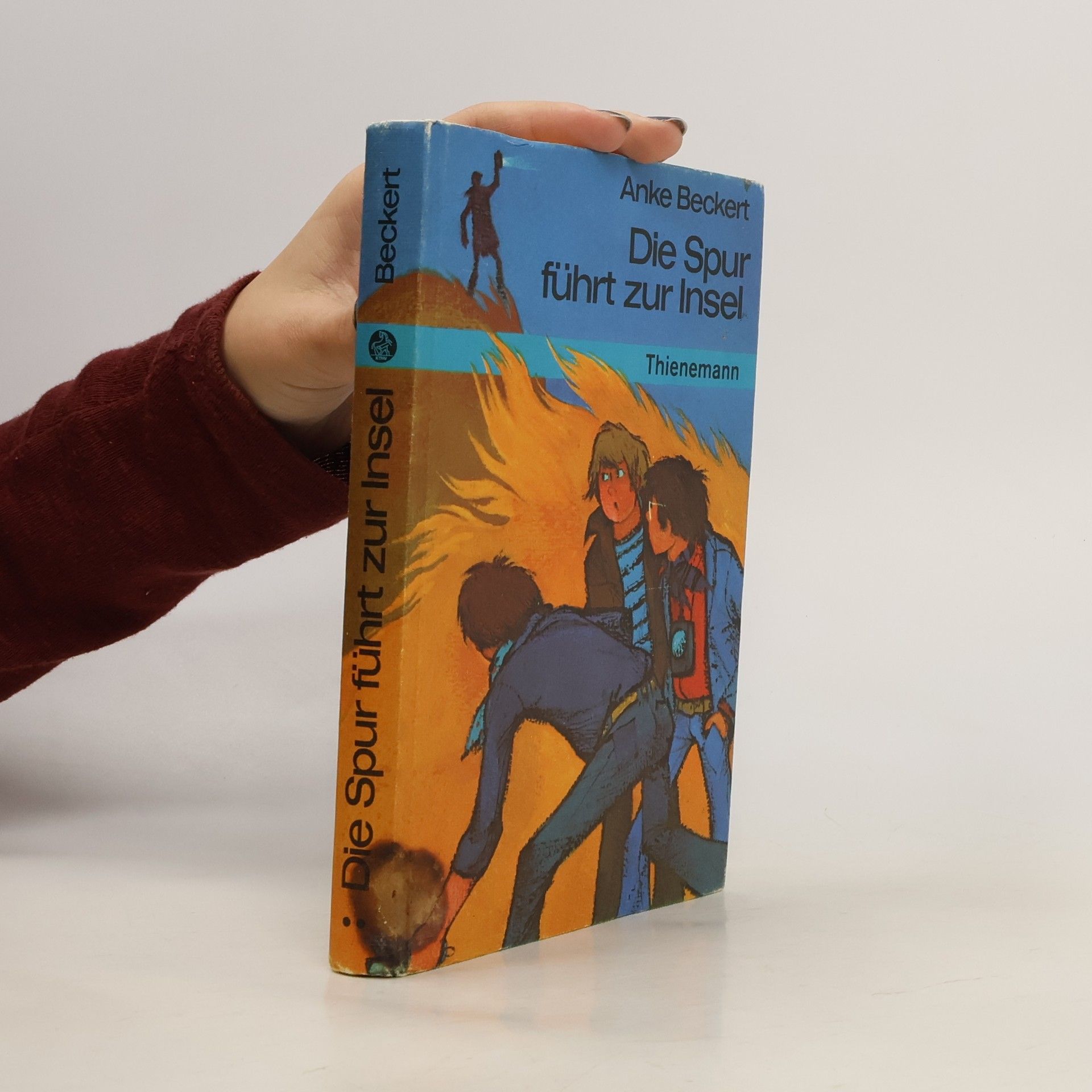 Die Spur führt zur Insel