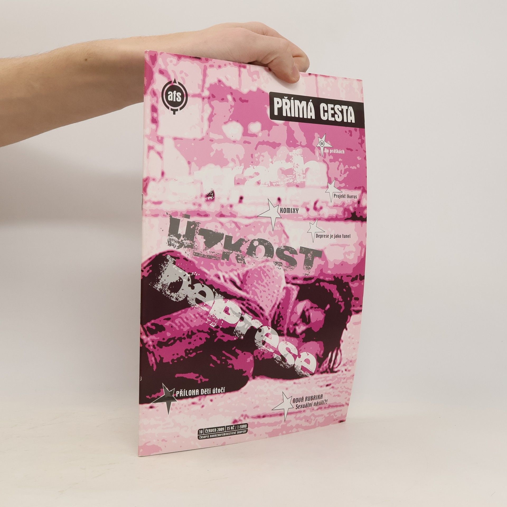 Kolektív autorov Přímá cesta 10/2009