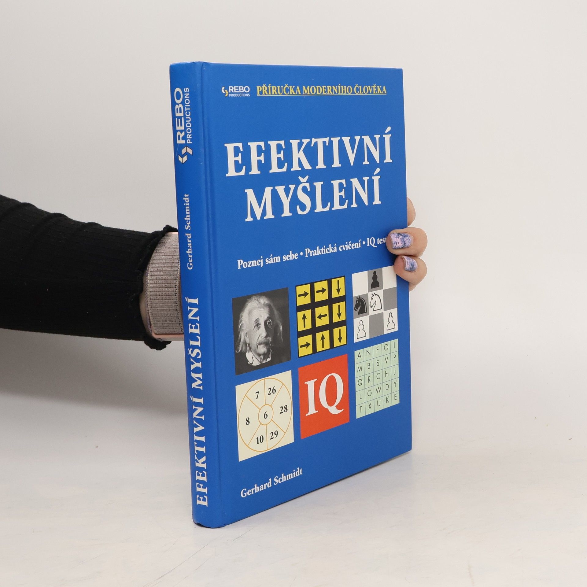 Gerhard Schmidt Efektivní myšlení