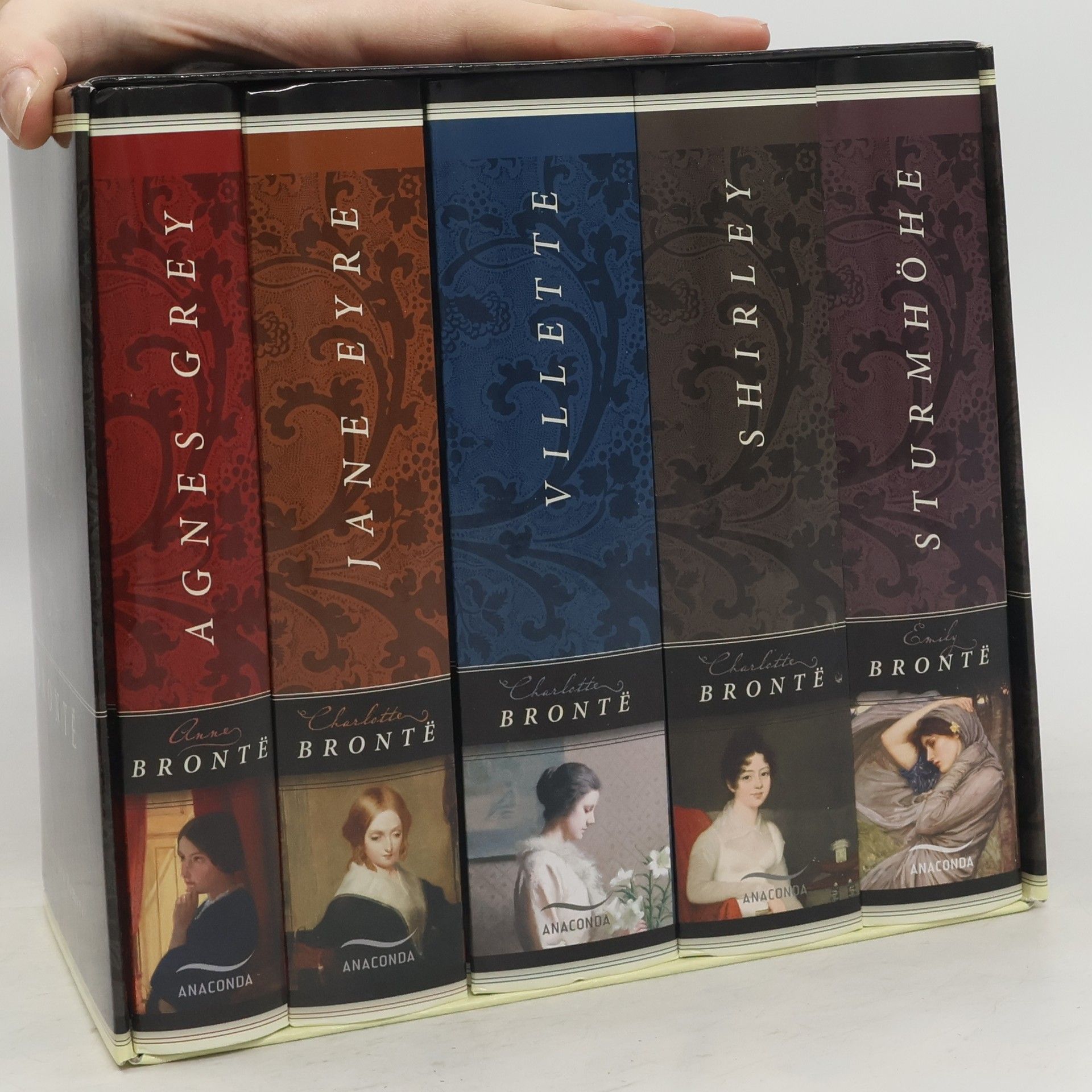 Emily Brontë Brontë. Die großen Romane