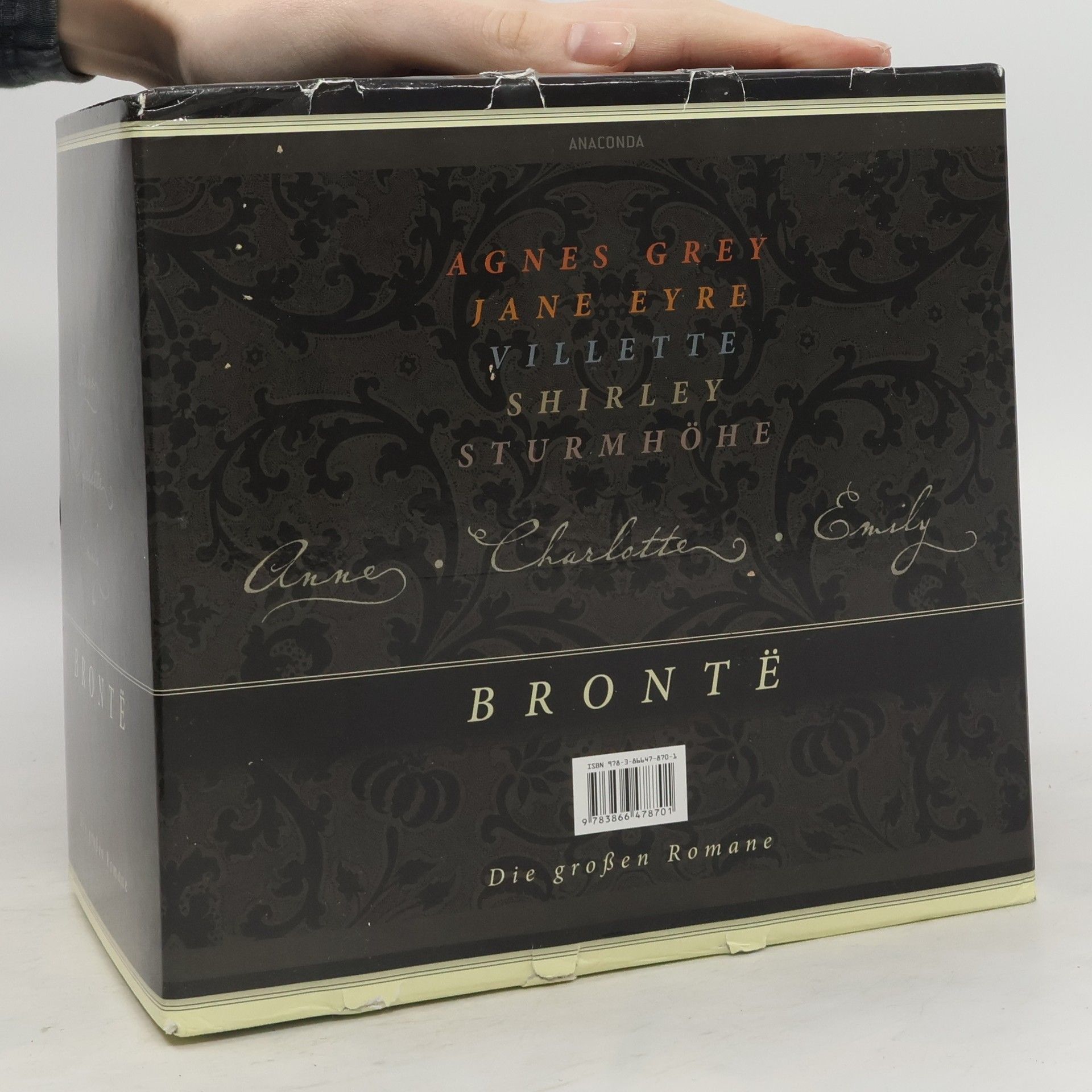 Emily Brontë Brontë. Die großen Romane