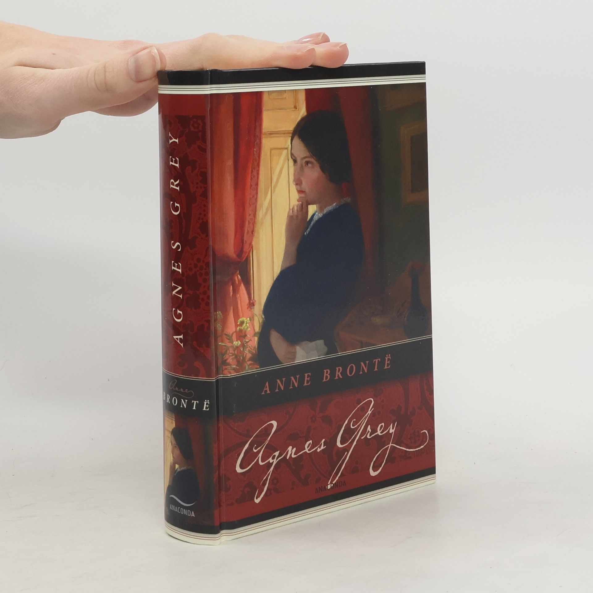 Emily Brontë Brontë. Die großen Romane
