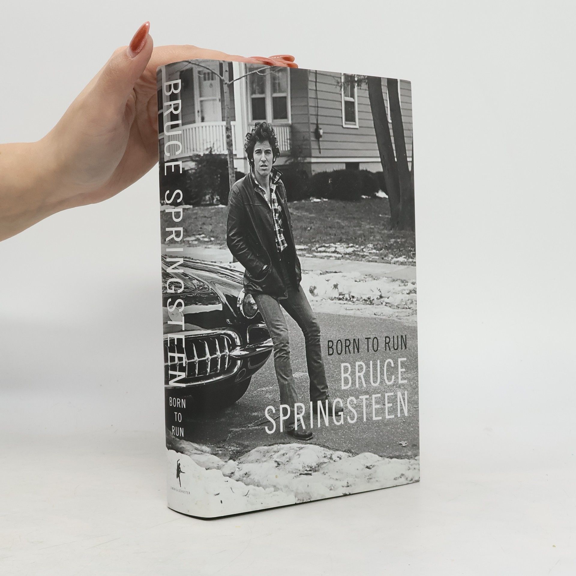 Bruce Springsteen Born to run