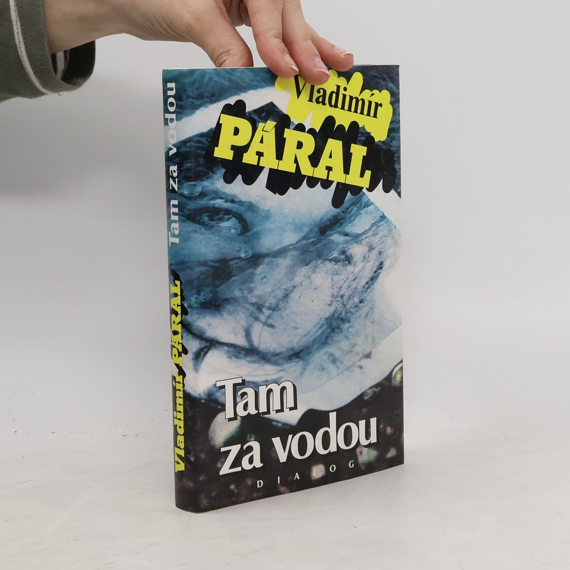 Vladimír Páral Tam za vodou