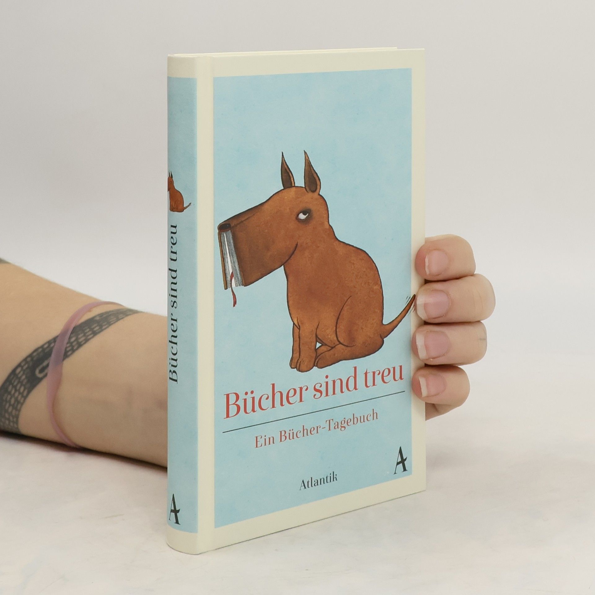 Daniel Kampa Bücher sind treu - Ein Bücher-Tagebuch