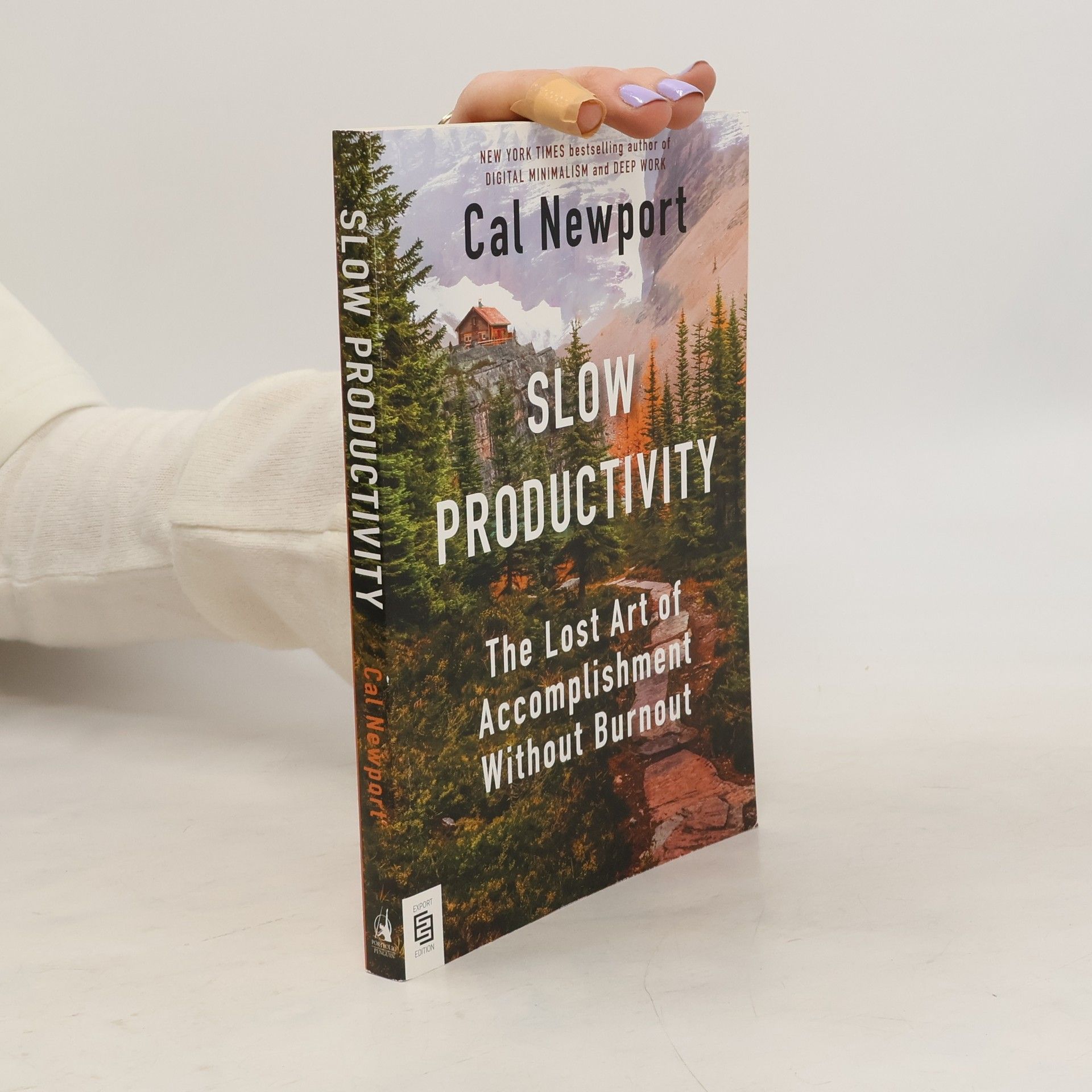 Cal Newport Slow Productivity