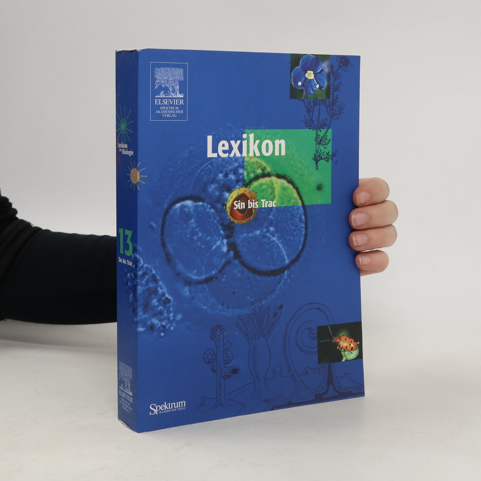 Collectif d'auteurs Lexikon der Biologie 13