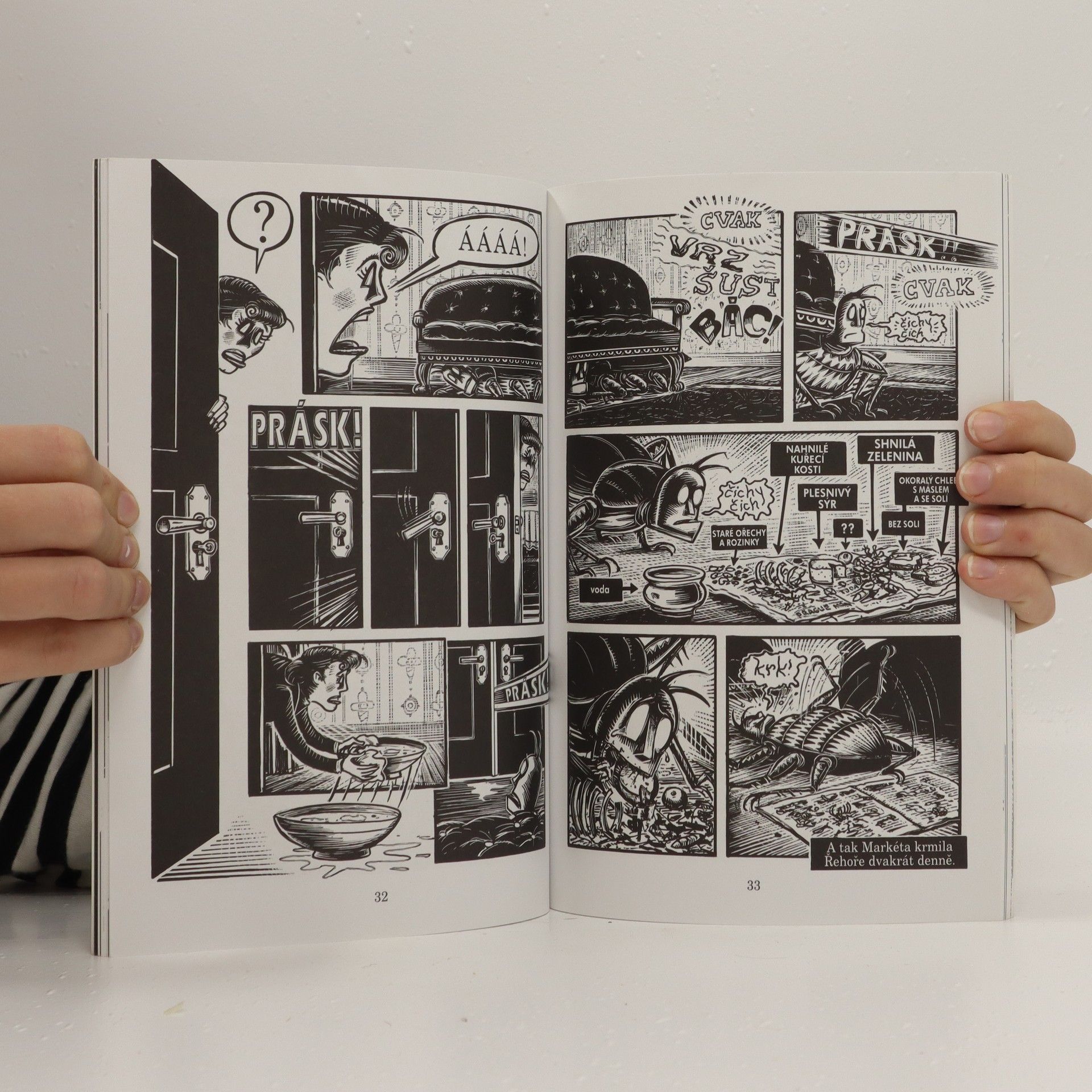 Peter Kuper Proměna (komiks)