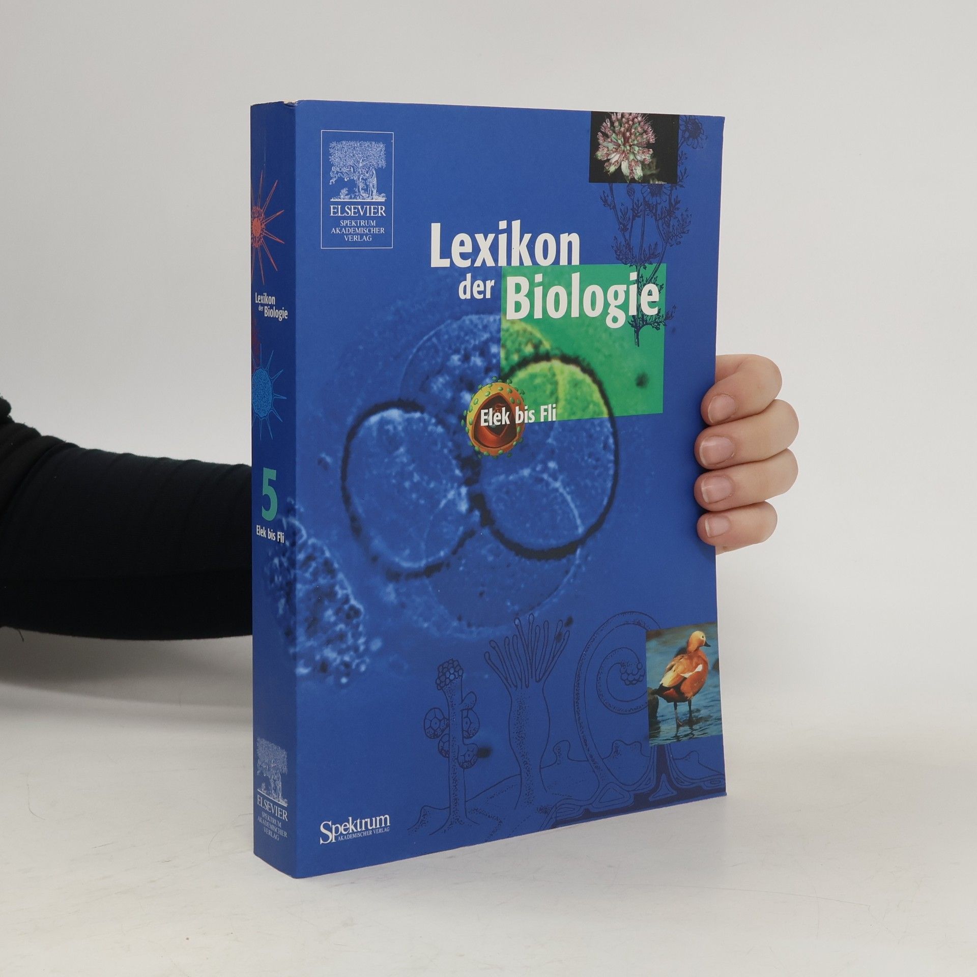 Kolektív autorov Lexikon der Biologie 5