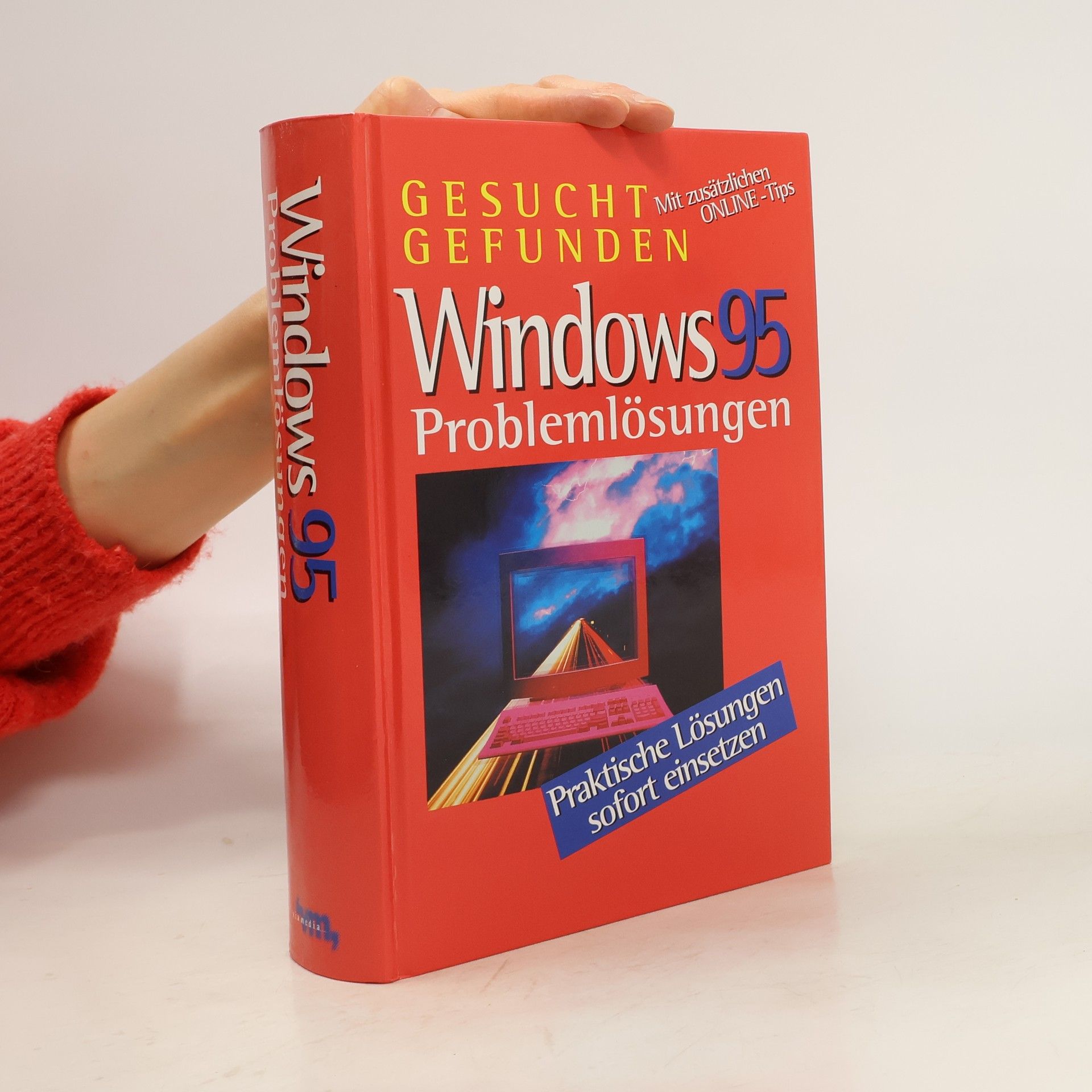 Collectif d'auteurs Windows 95. Problemlösungen