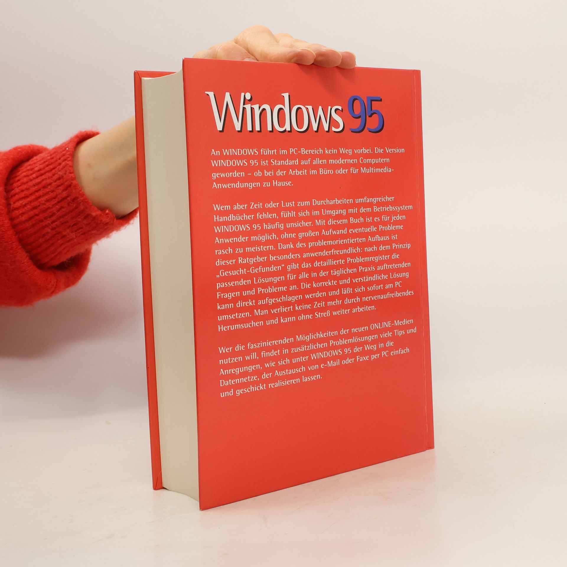 Collectif d'auteurs Windows 95. Problemlösungen