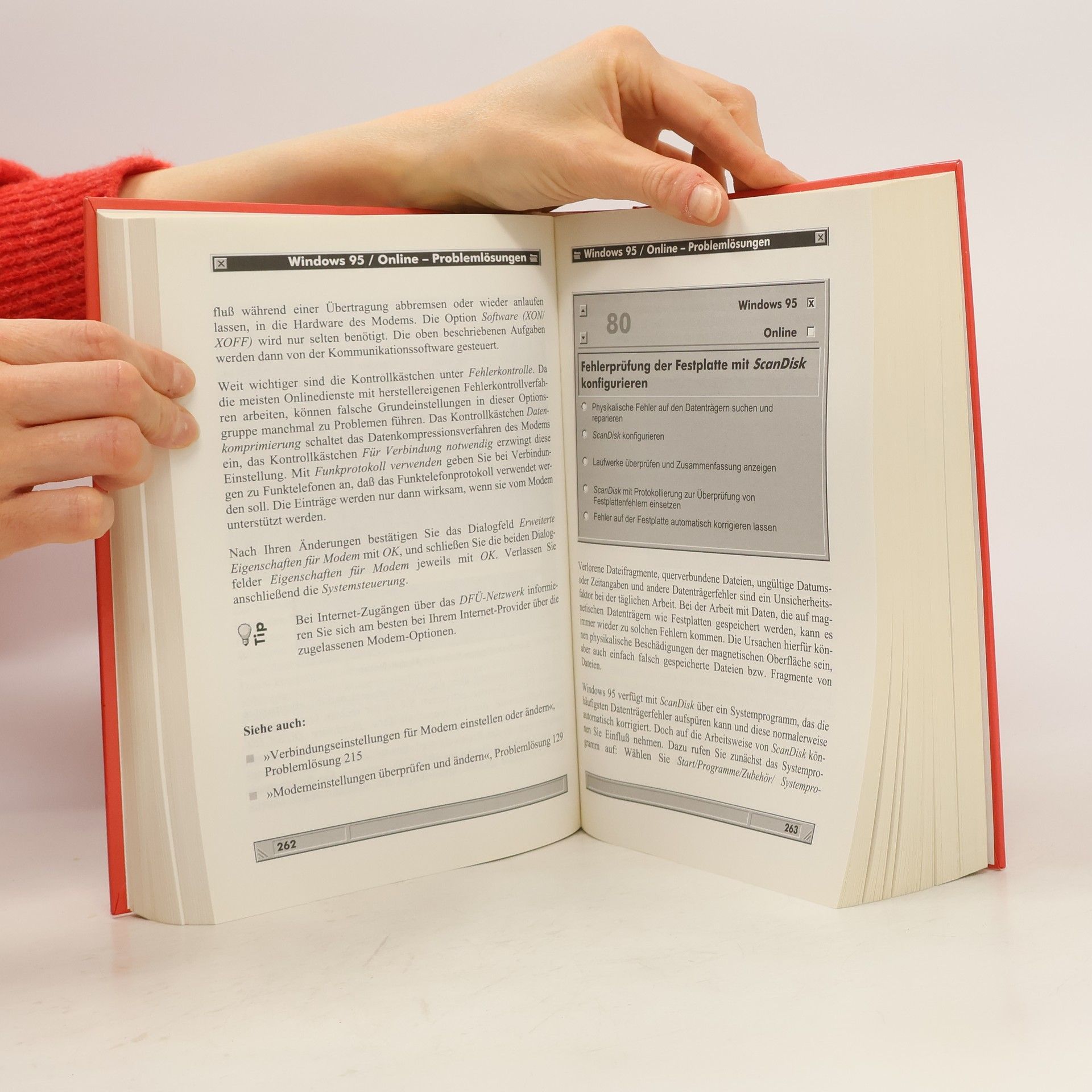 Collectif d'auteurs Windows 95. Problemlösungen