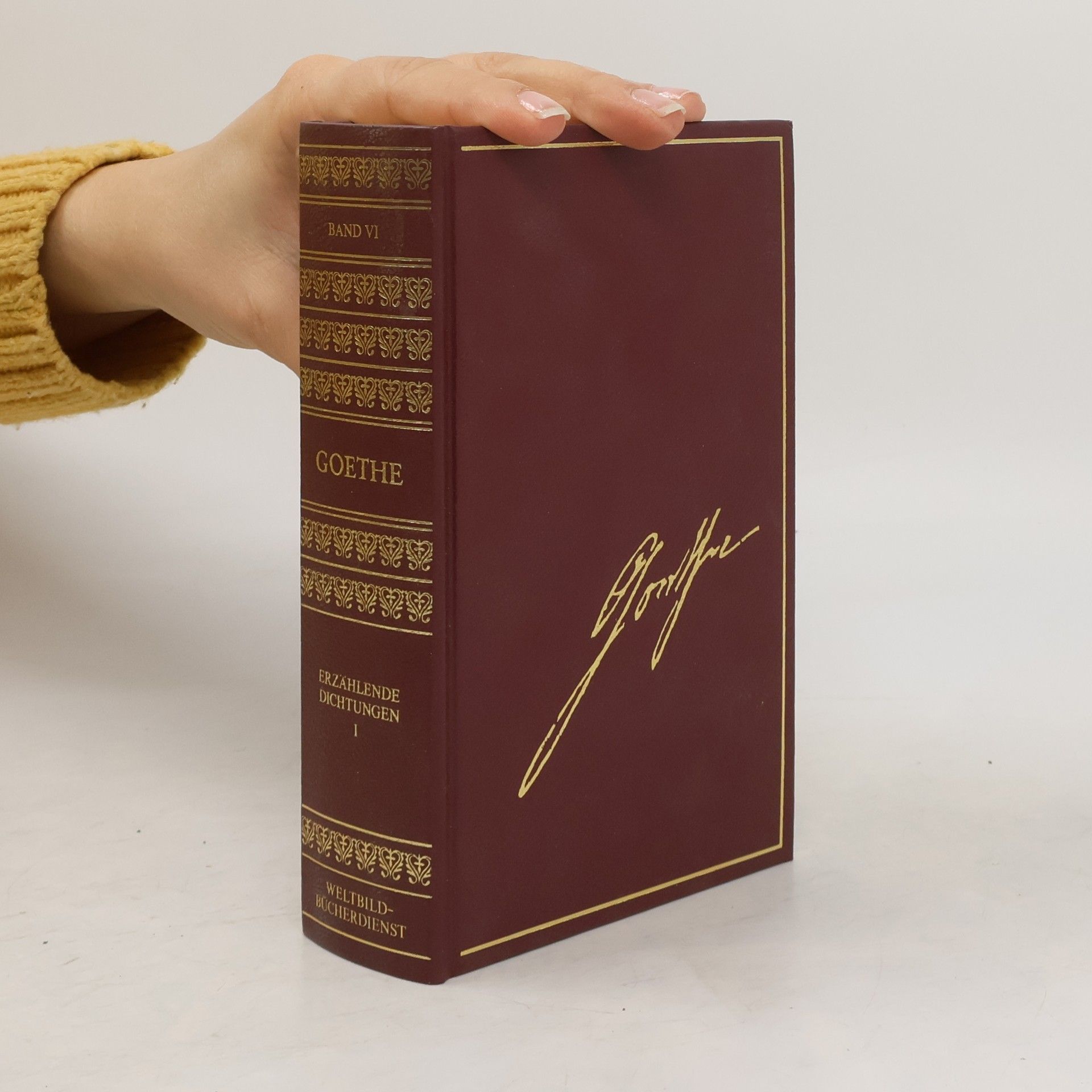 Johann Wolfgang von Goethe Erzählende Dichtungen I. Band VI