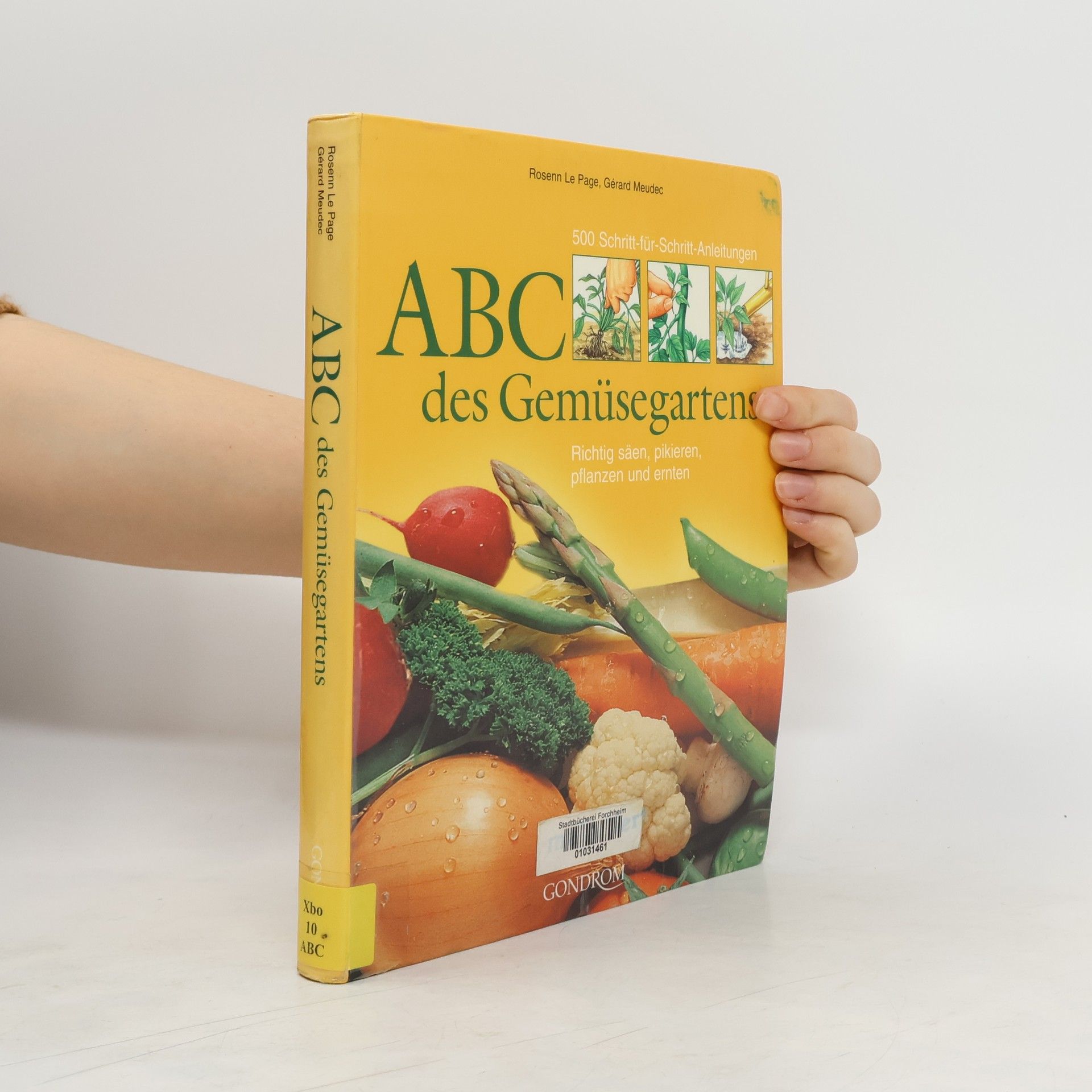 Rosenn Le Page ABC des Gemüsegartens