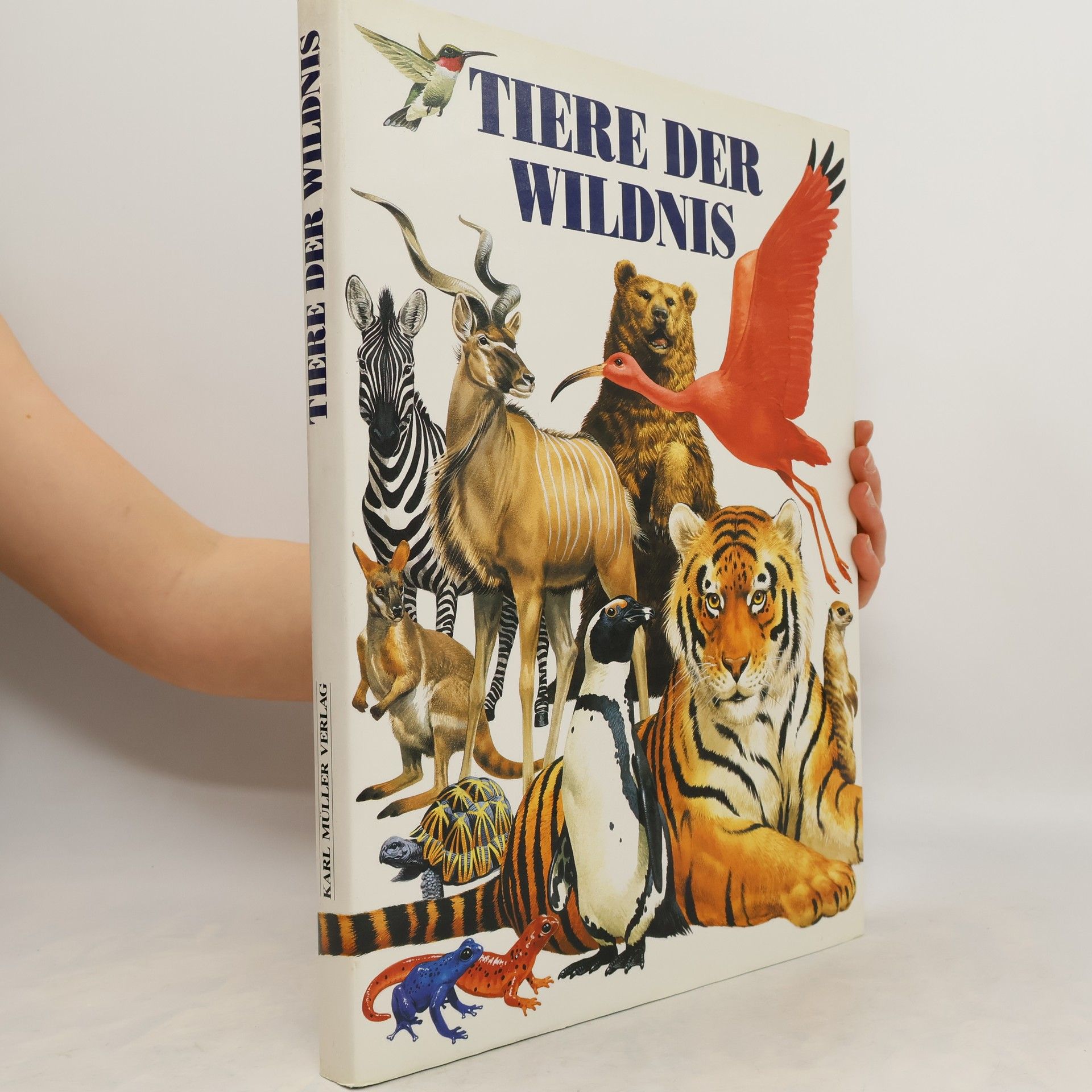 Autorenkollektiv Tiere der Wildnis