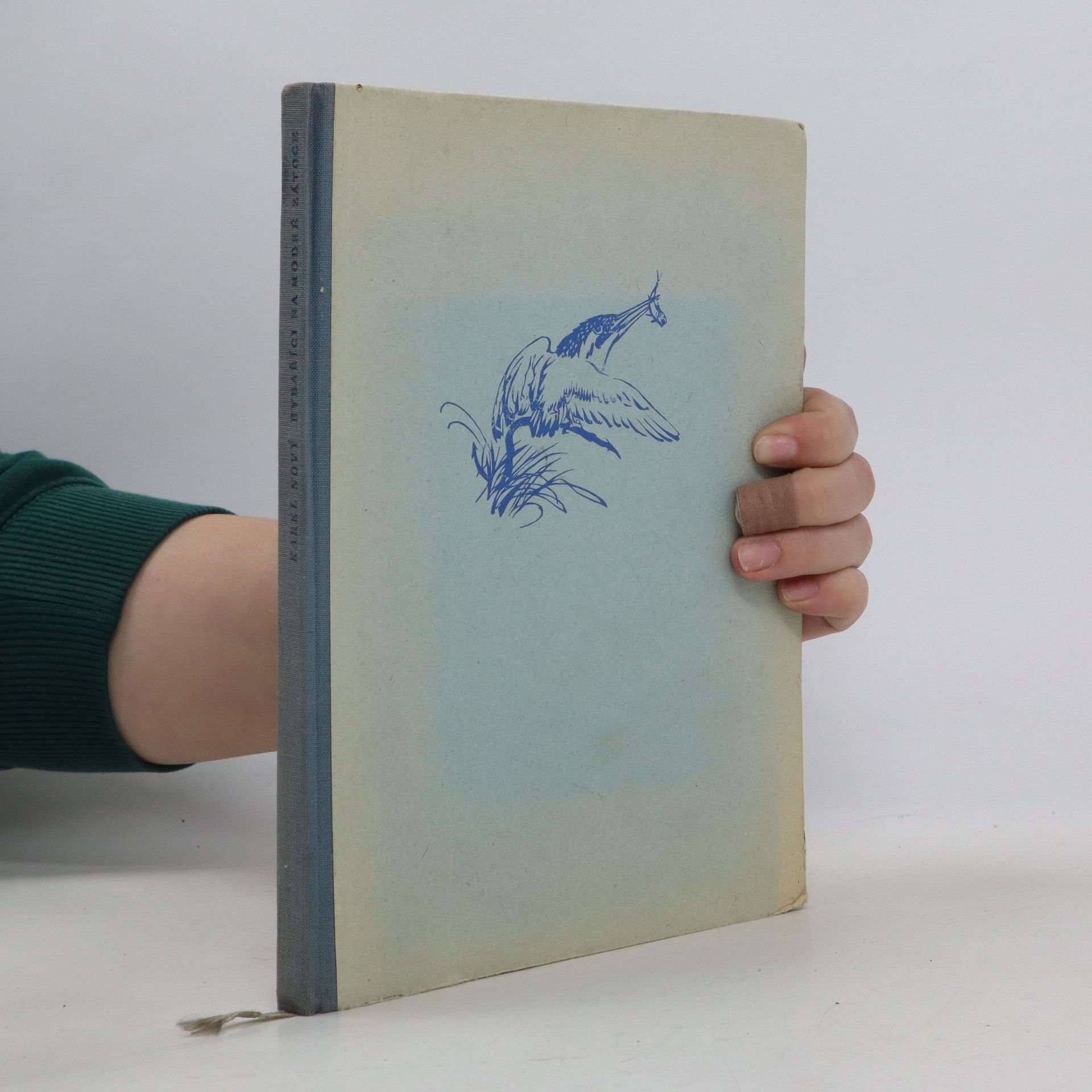 Karel Nový Rybaříci na modré zátoce