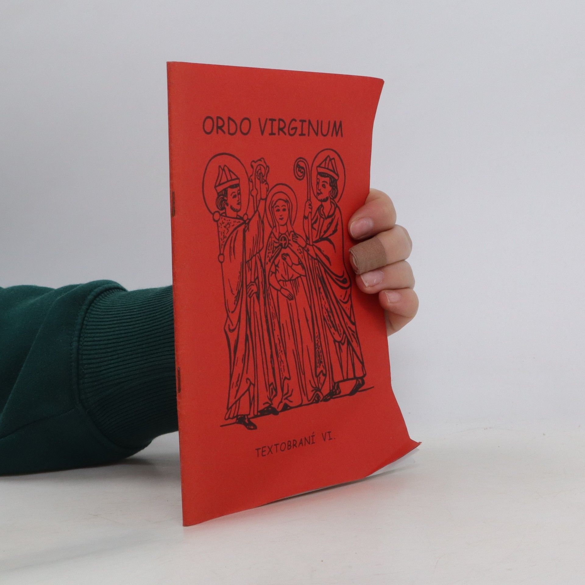 Kolektív autorov Ordo virginum. Textobraní VI.